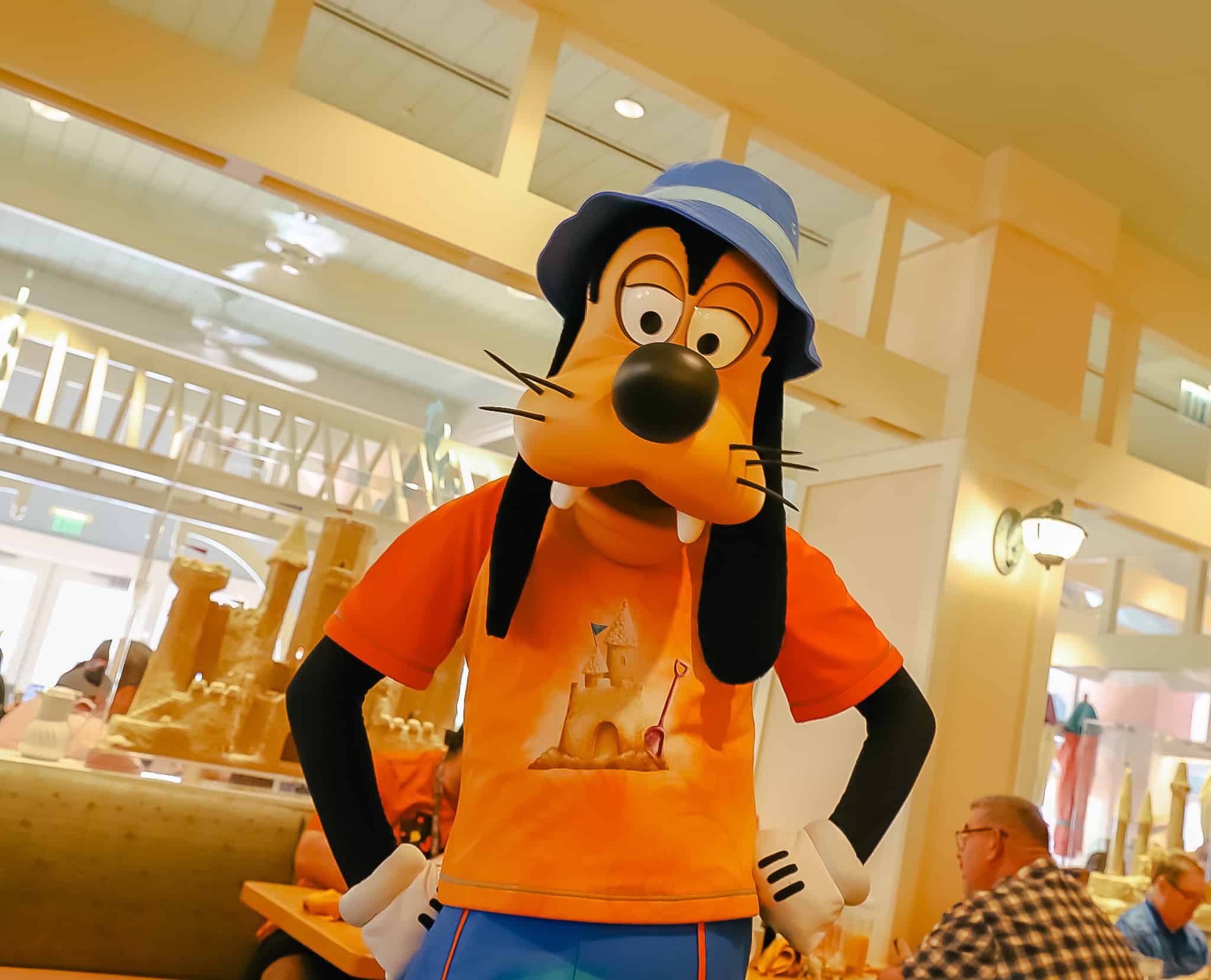 Goofy at Cape May Cafe Character Dining 