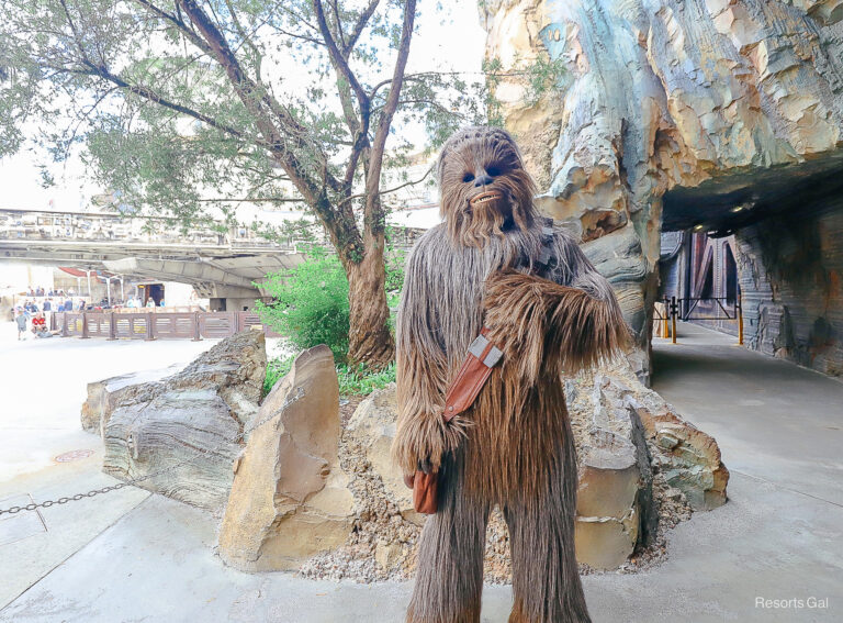 Meet Chewbacca at Disney’s Hollywood Studios Near the Millennium Falcon
