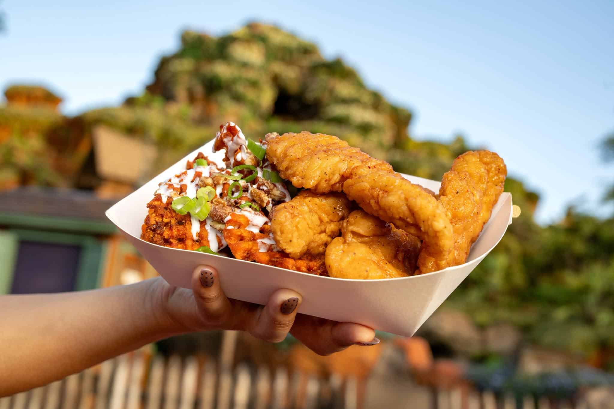 a hand holding an order of chicken strips in Frontierland at Magic Kingdom