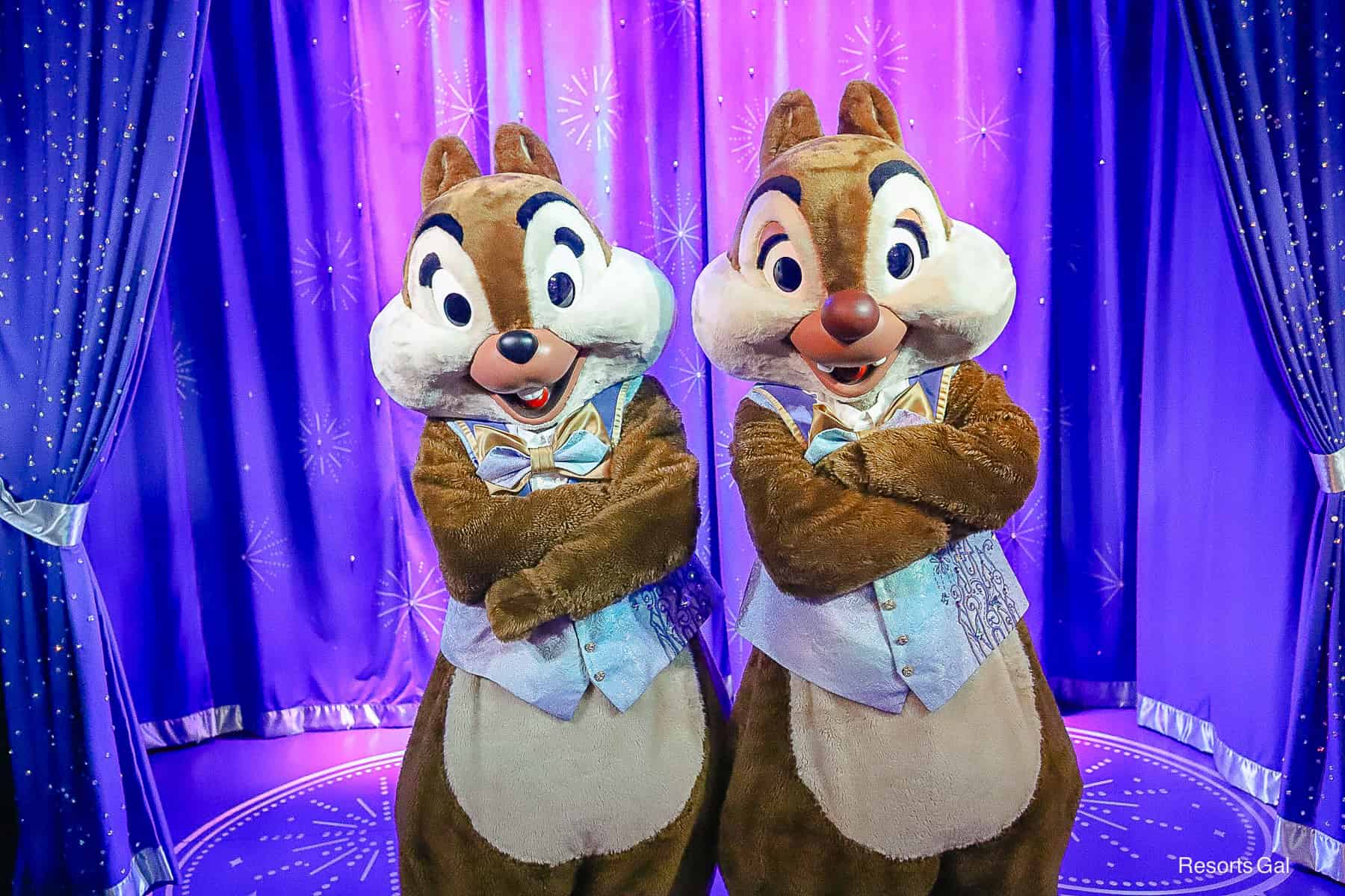 Chip and Dale with arms crossed