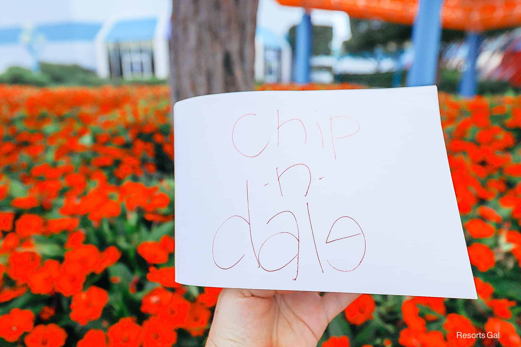 Chip 'n' Dale character autograph
