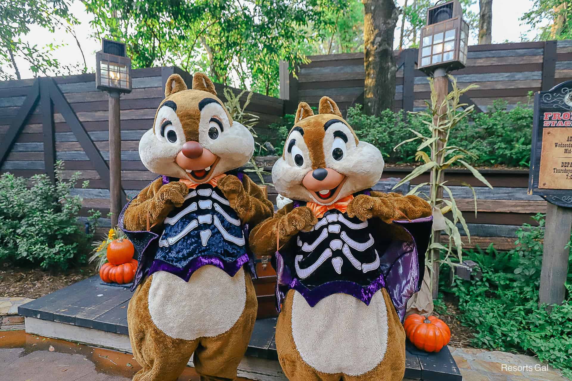 Chip and Dale straighten their bow ties at Mickey's Not So Scary Halloween Party 