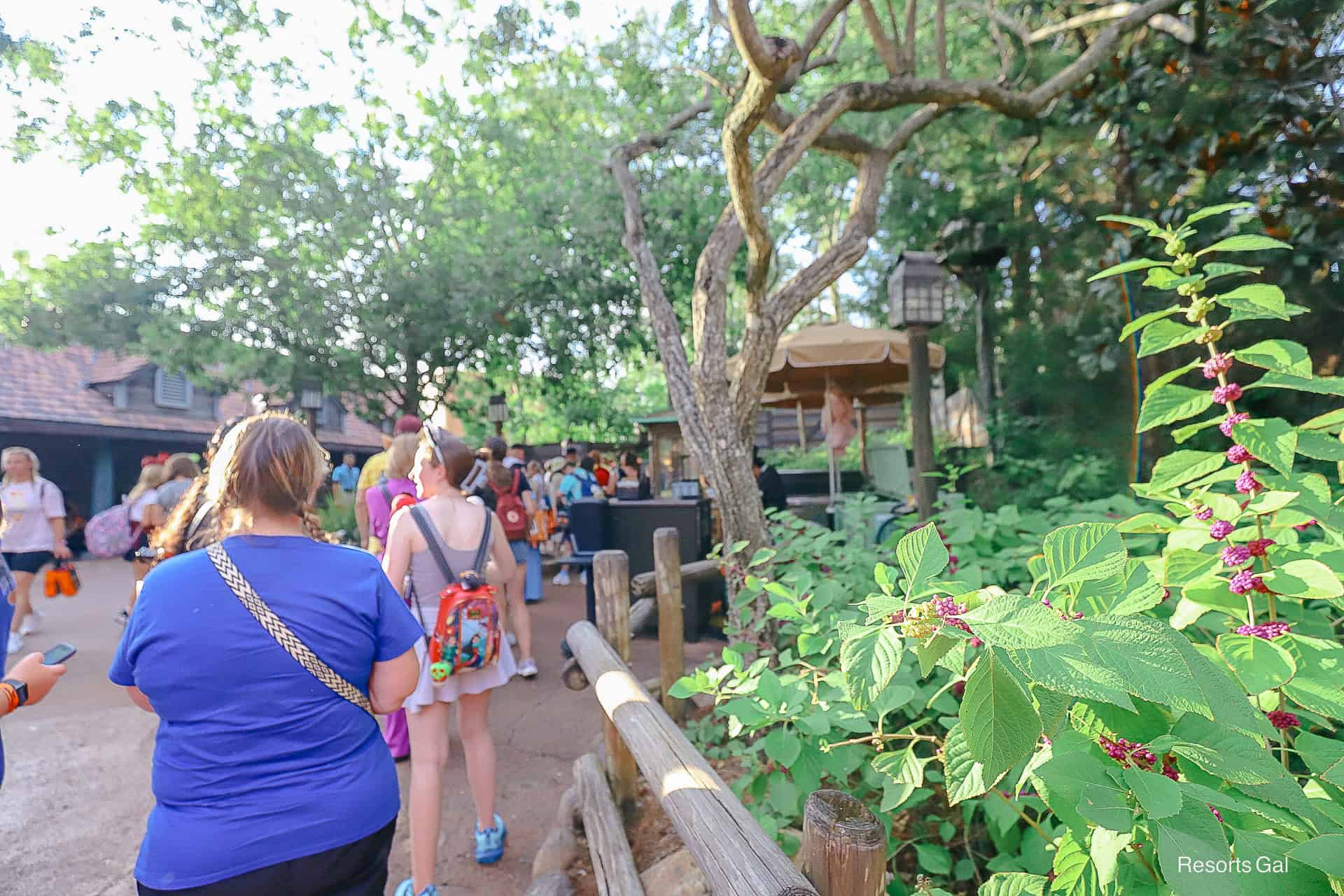 the end of the line of guests waiting to meet Chip and Dale 