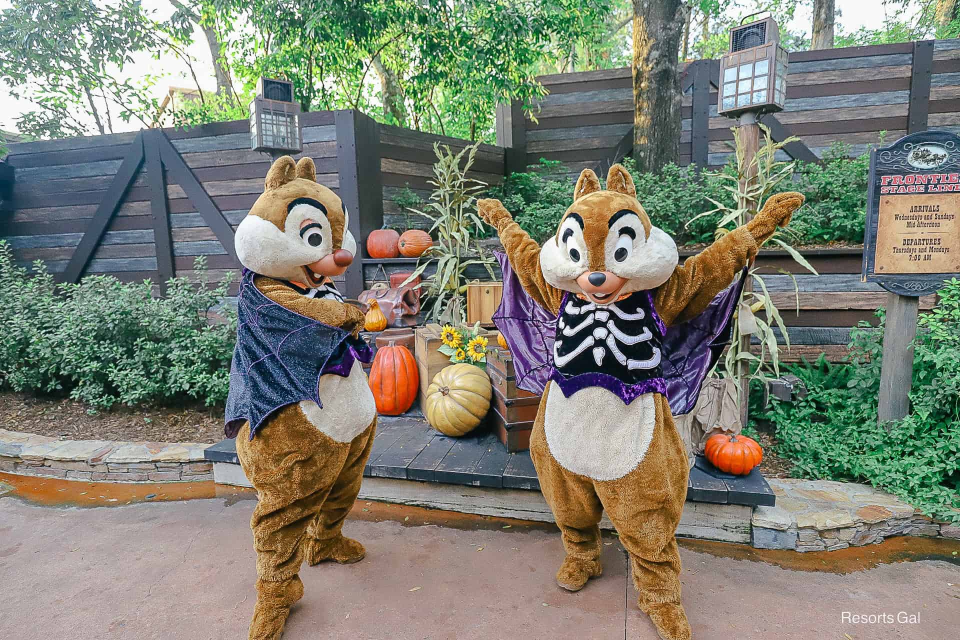 Dale points to Chip's outfit at the Halloween Party 