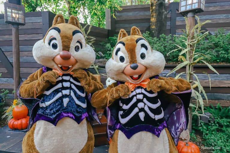Chip and Dale at Mickey's Not So Scary Halloween Party