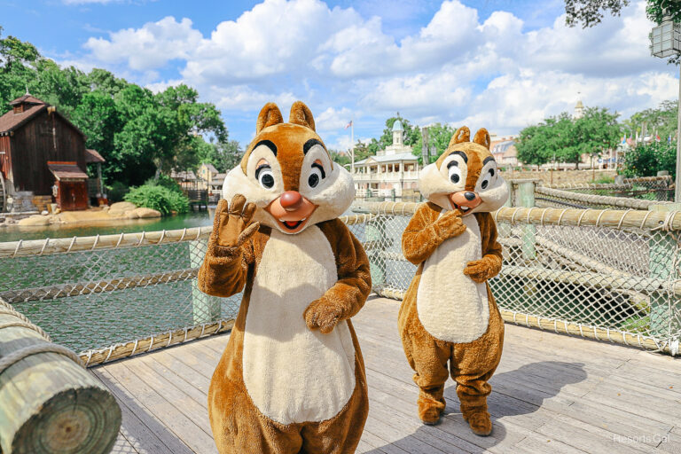 Character Spotlight: Chip and Dale at Walt Disney World