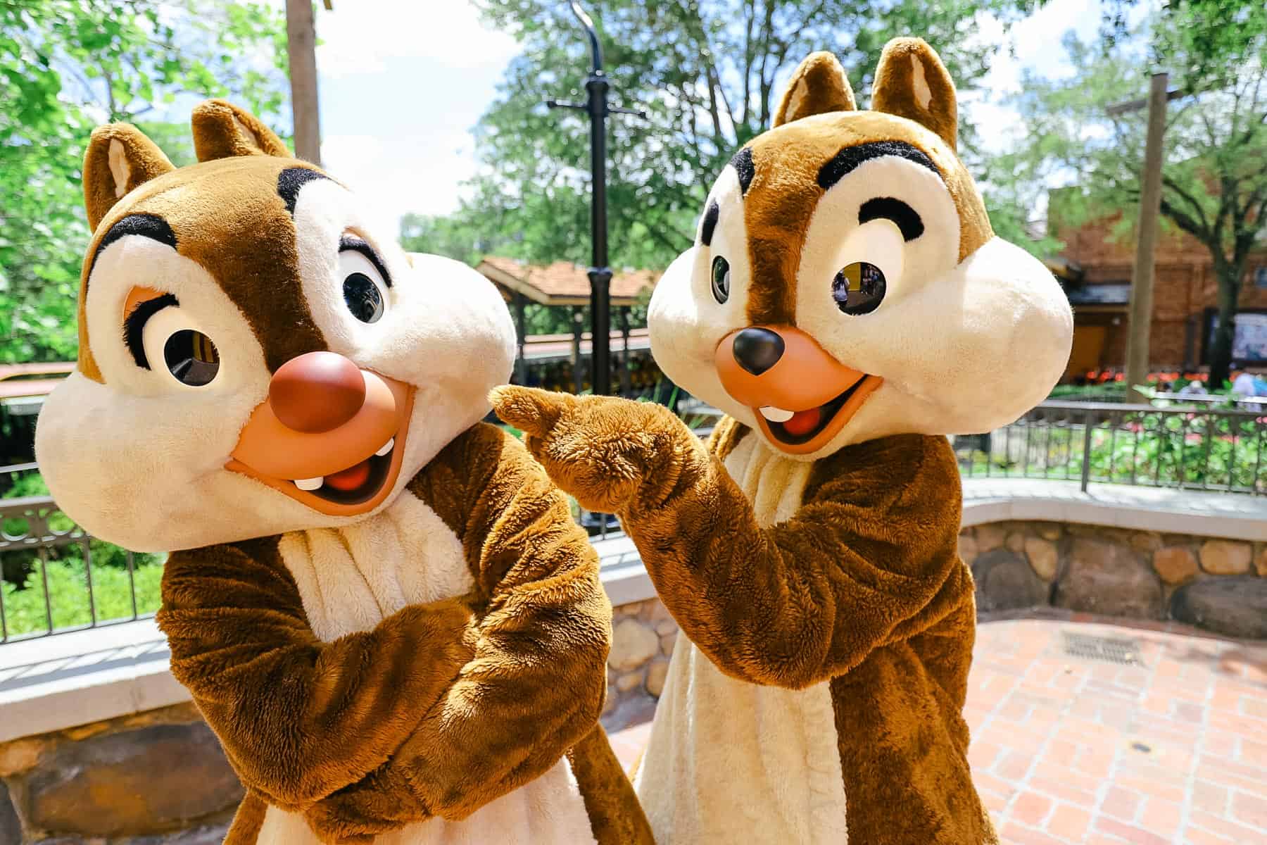 Chip and Dale pointing at each other. 