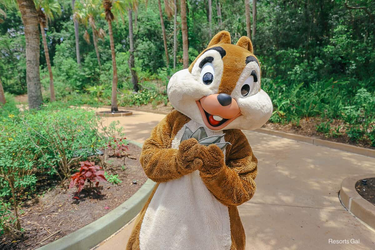 Chip outside the entrance of Disney's Animal Kingdom