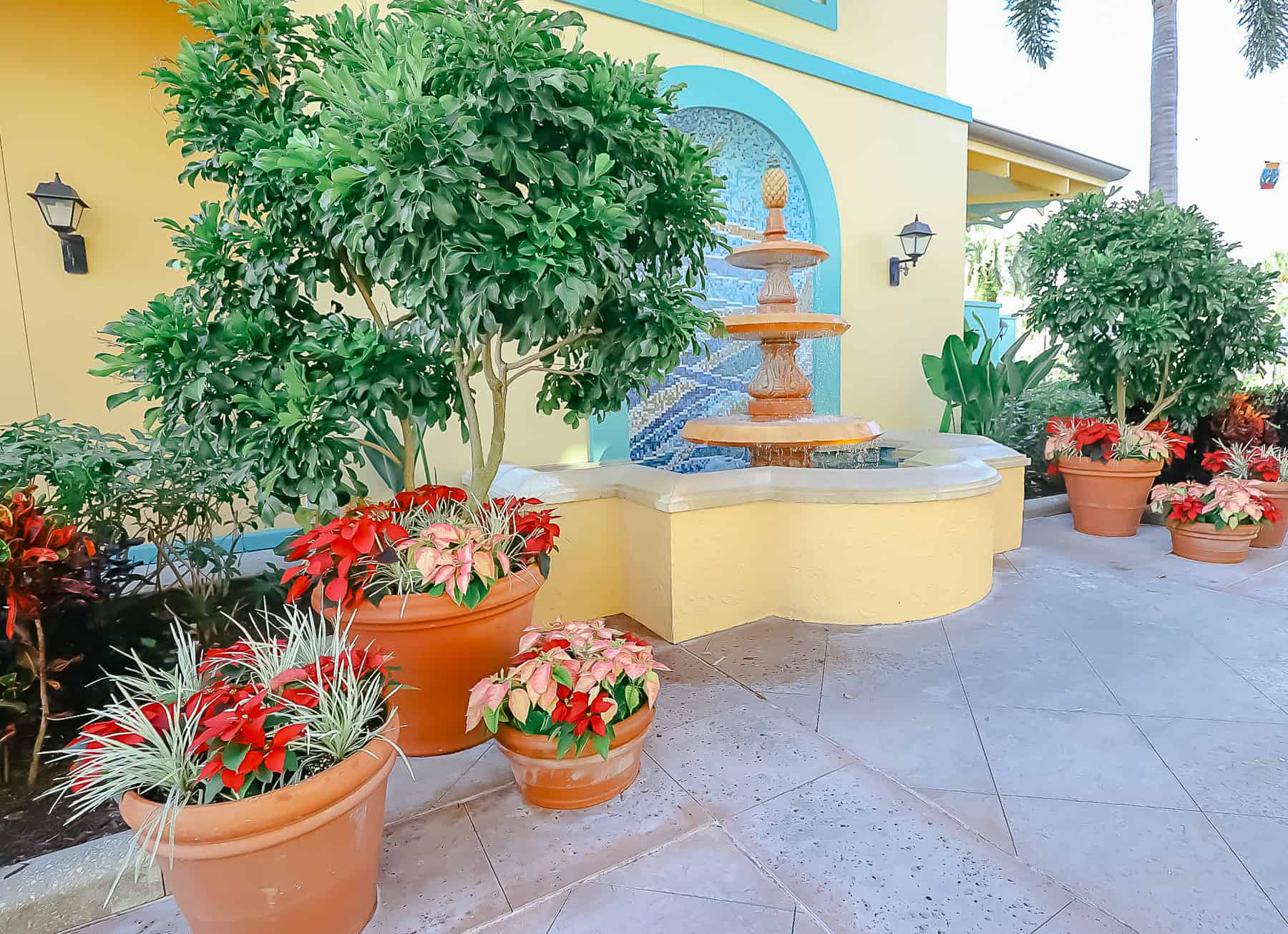 A fountain at Disney's Caribbean Beach surrounded by Christmas plants.