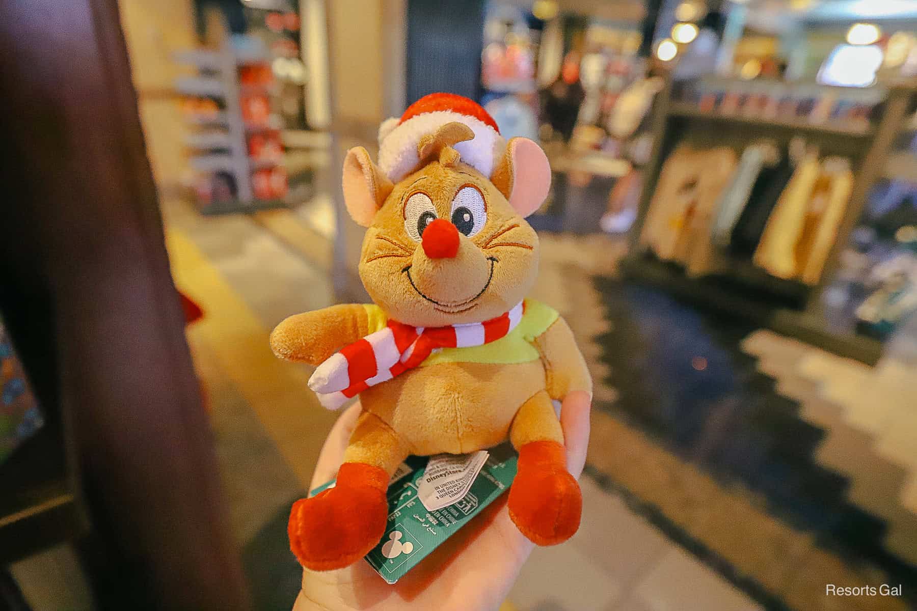 a Gus Gus Christmas shoulder plus 