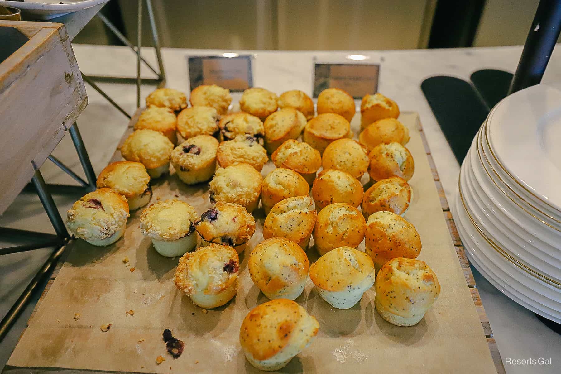 muffins in blueberry and lemon poppy seed flavors 