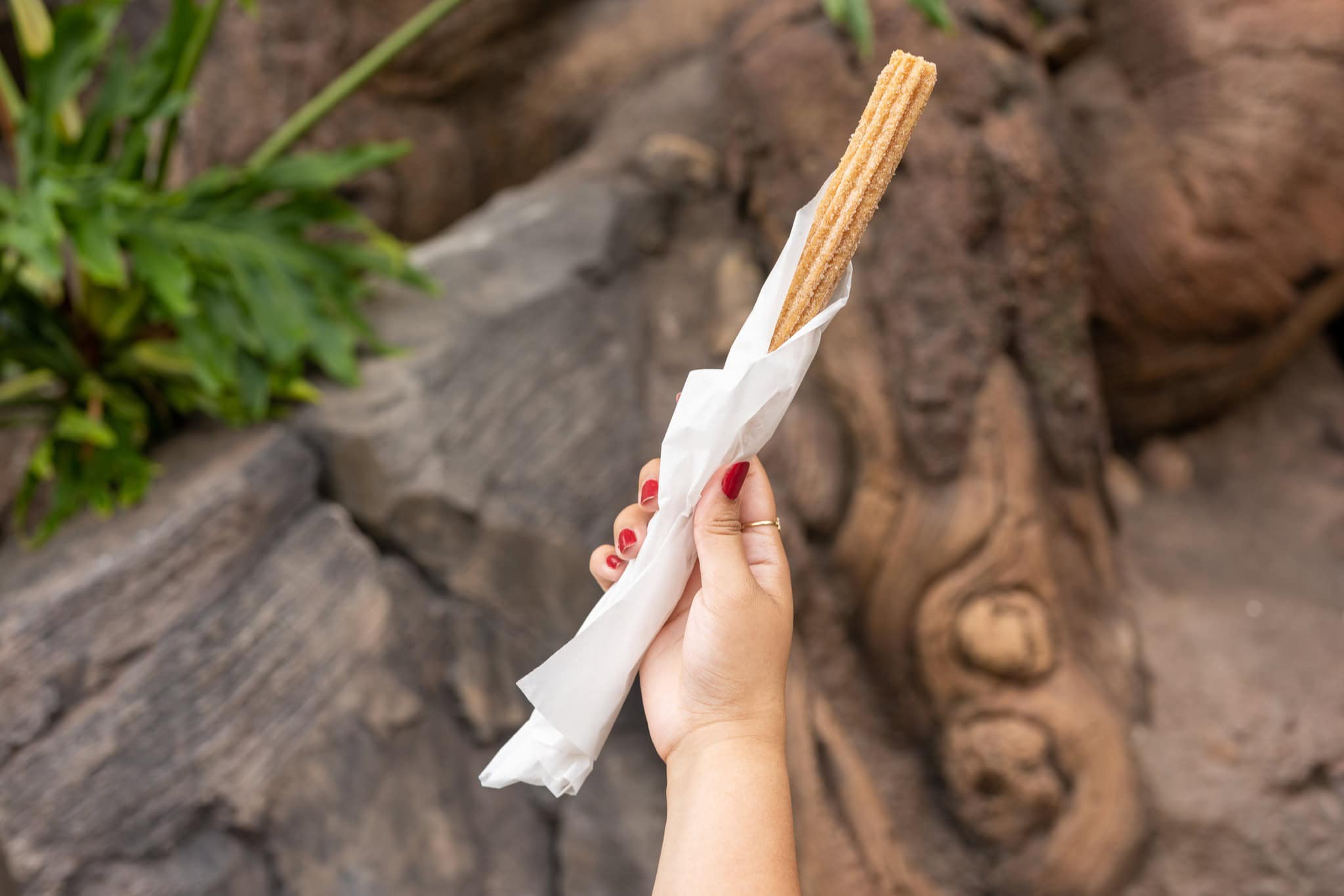 a hand holding a churro in front of the Tree of Life
