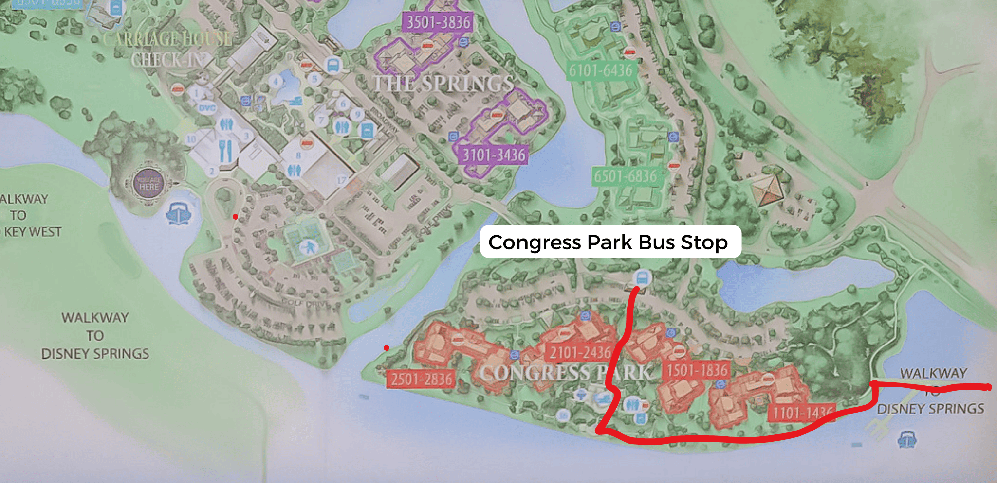 map that shows the walkway from Saratoga to Disney Springs 