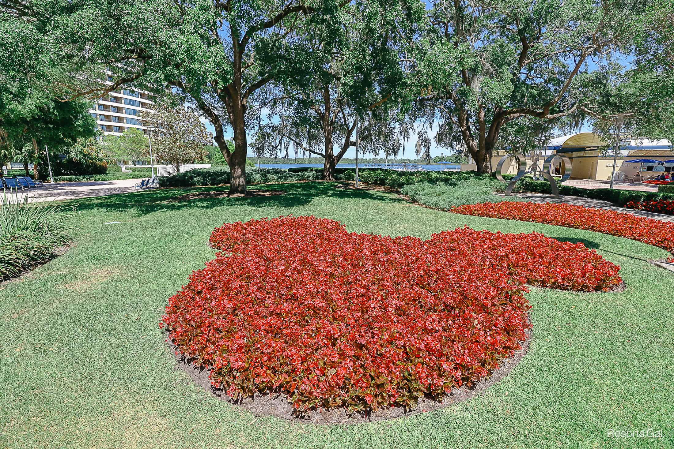 a red Mickey-shaped floral in green grass 