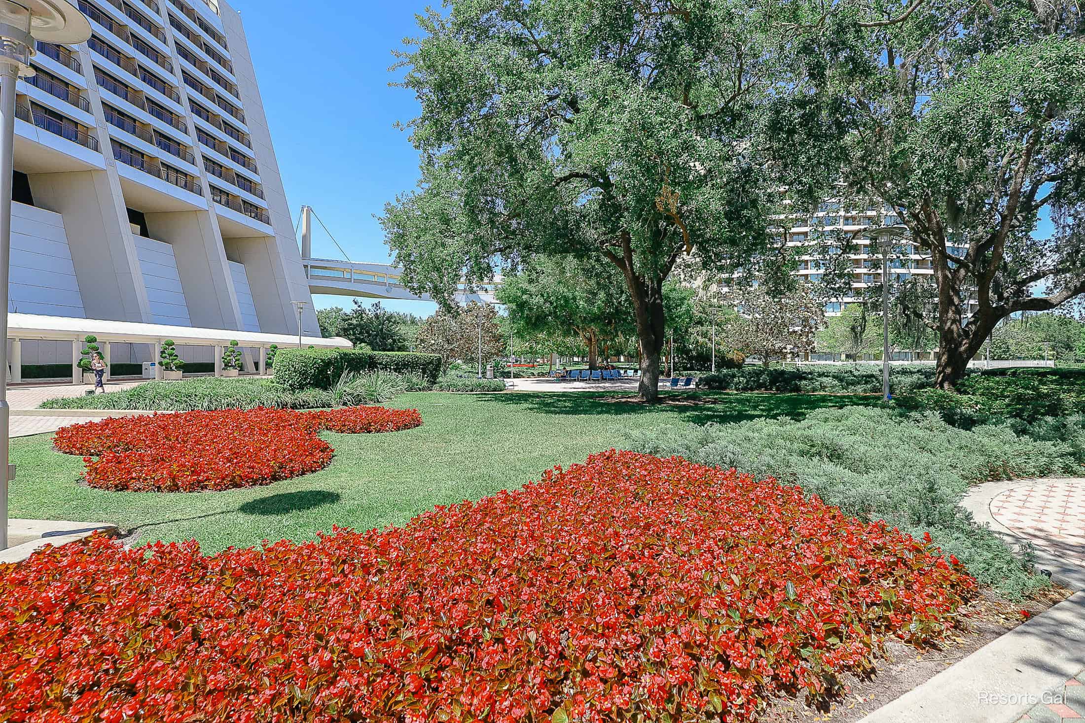 a view of the backyard of Disney's Contemporary with planters full or red flowers 