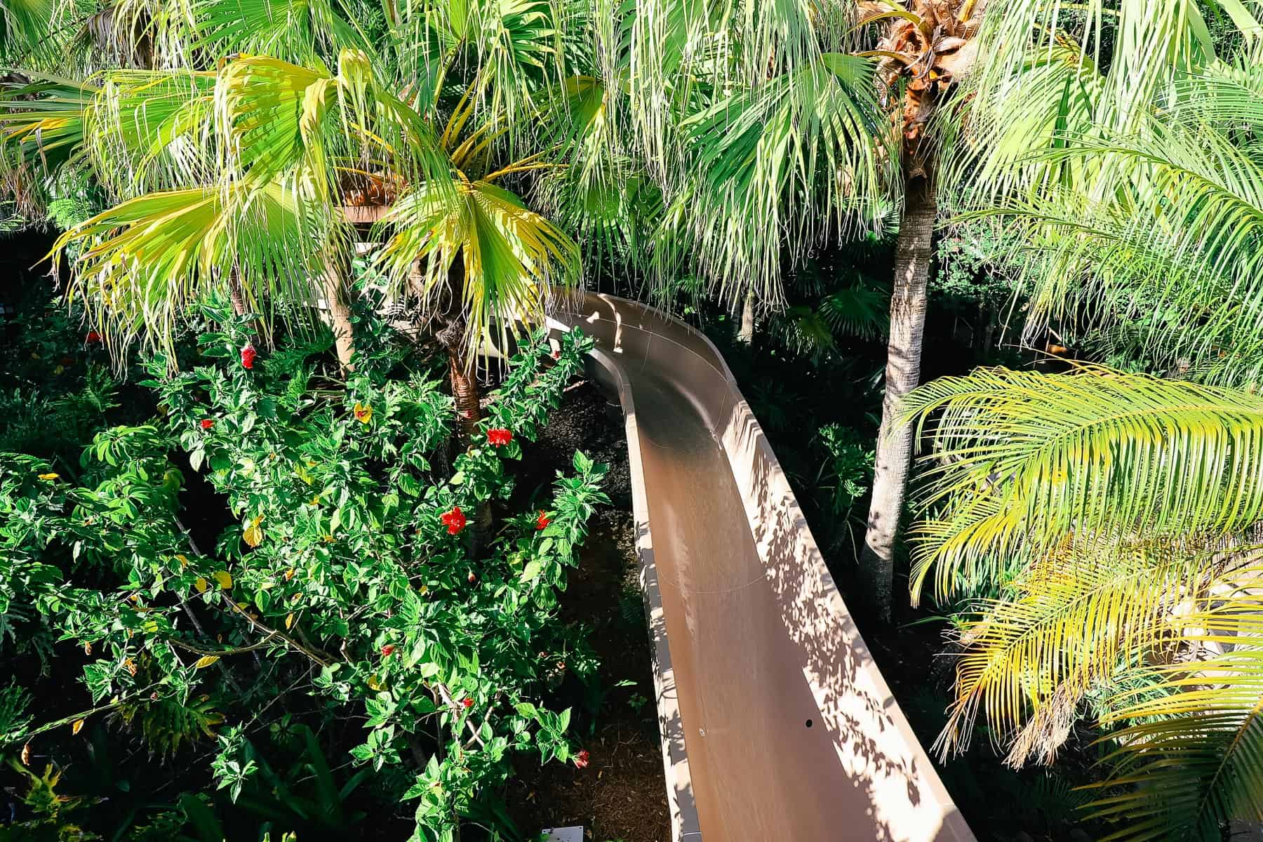 waterslide at Disney's Coronado Springs 