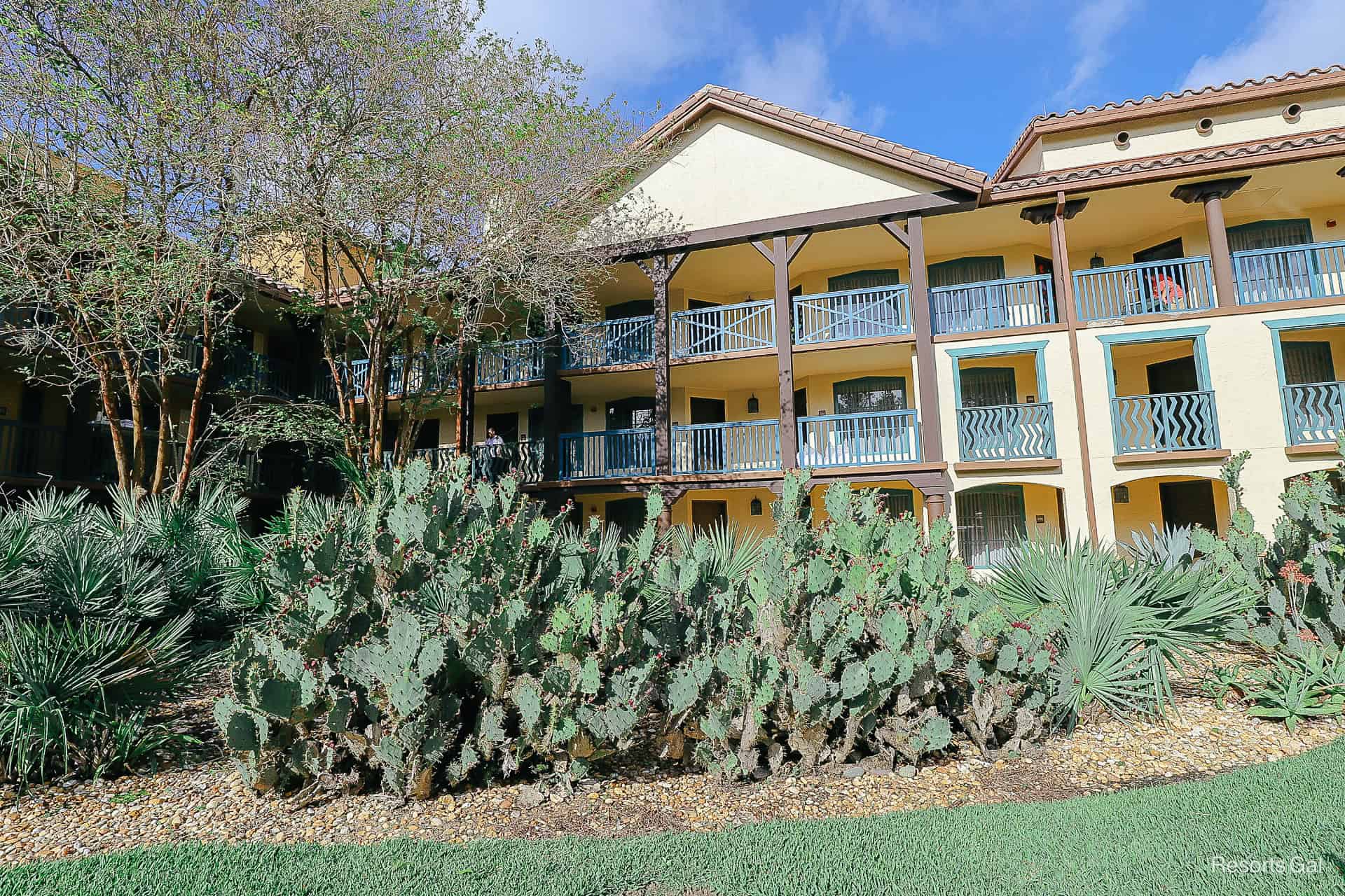 a building in Ranchos with cactus planted in front of it 
