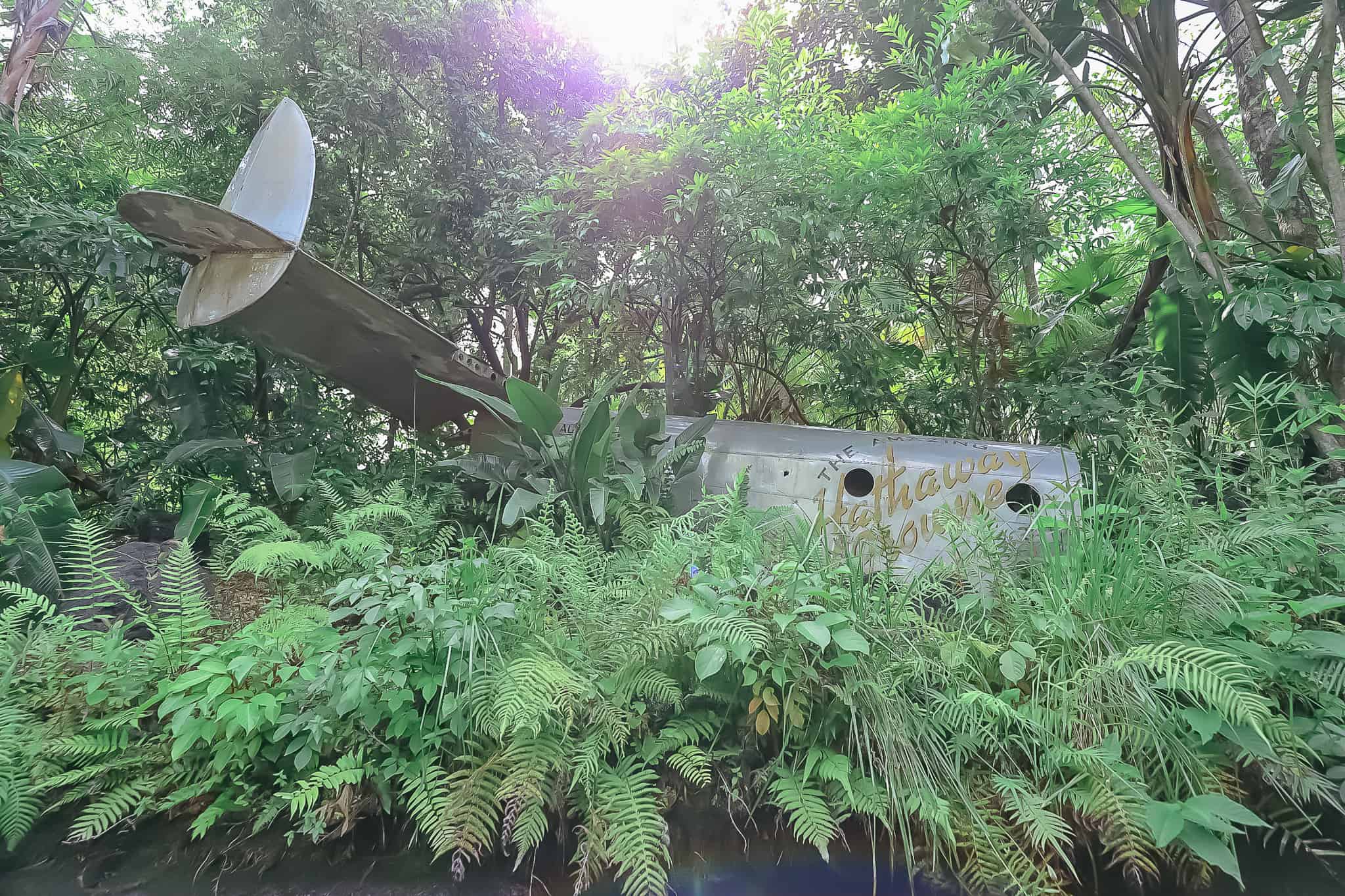 the remains of a plane that crashed in the jungle 