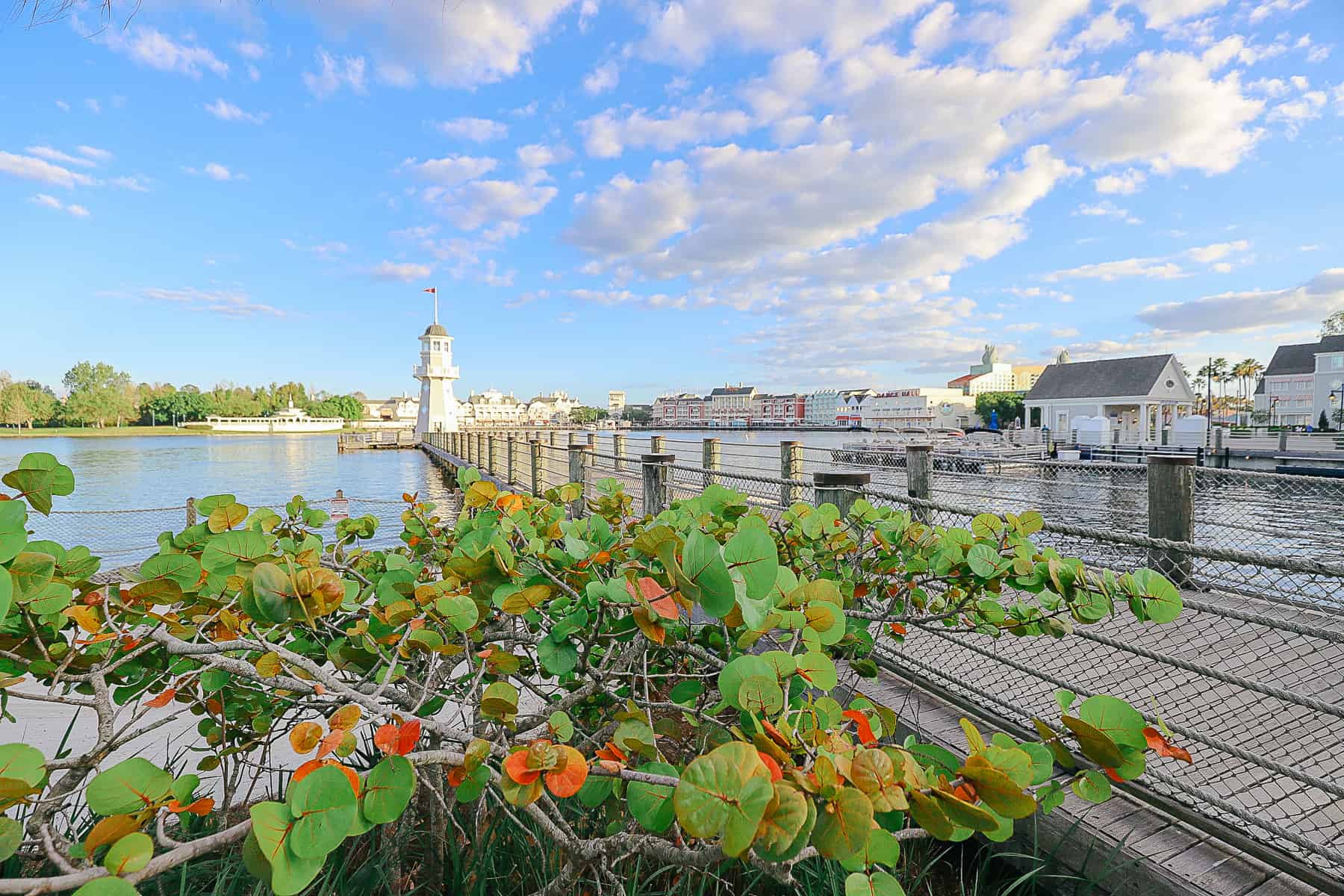 A Walk Around Crescent Lake at Disney World