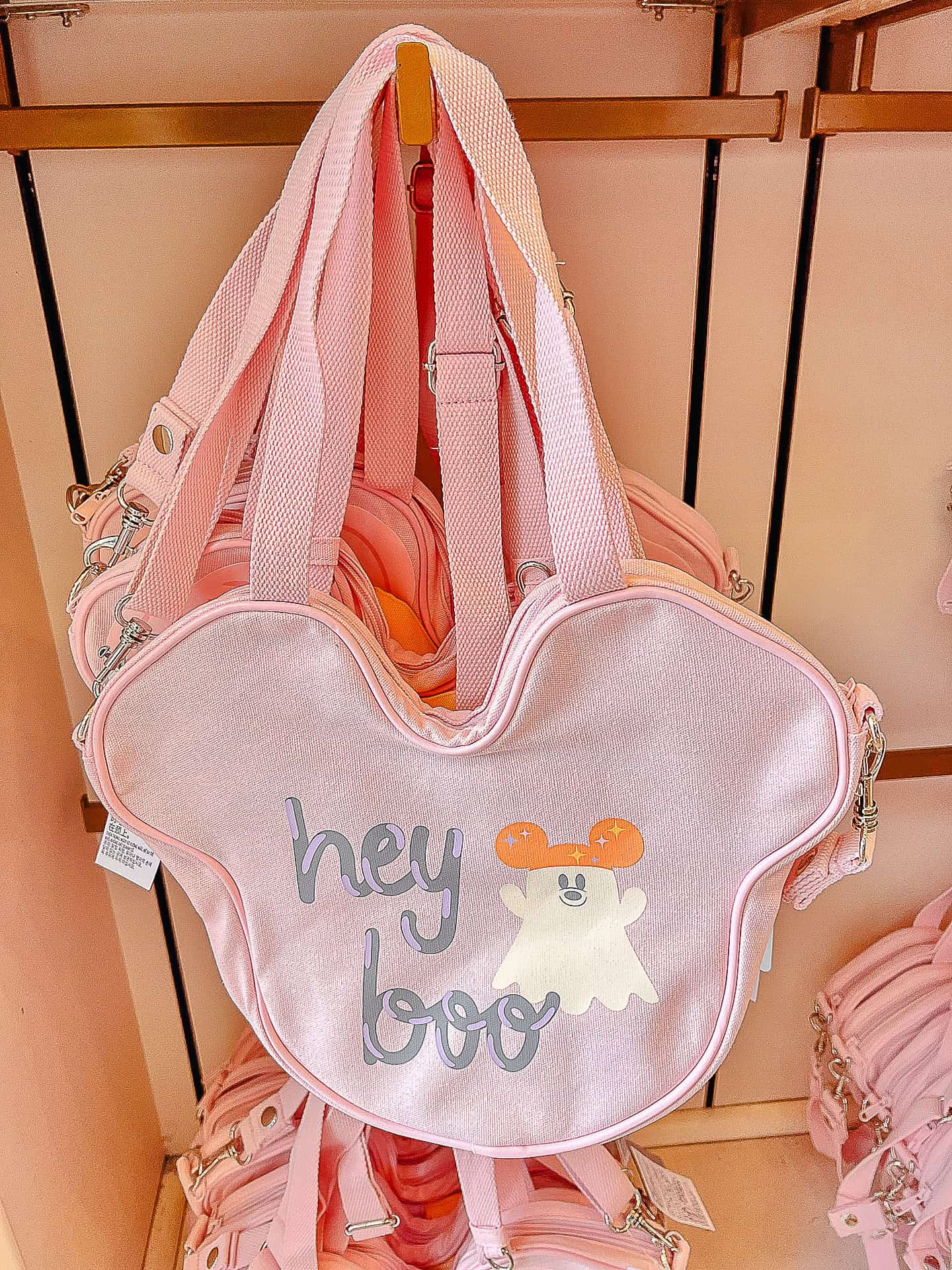 Hey boo bag back side with ghost 