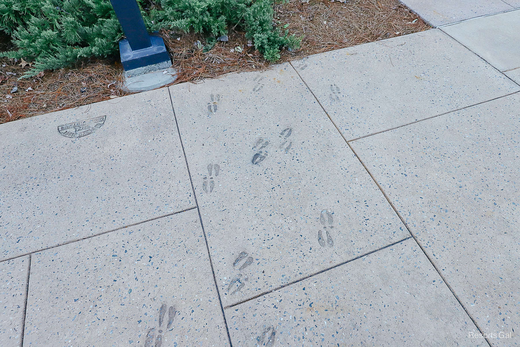 hoof prints stamped in the concrete around Copper Creek Villas 