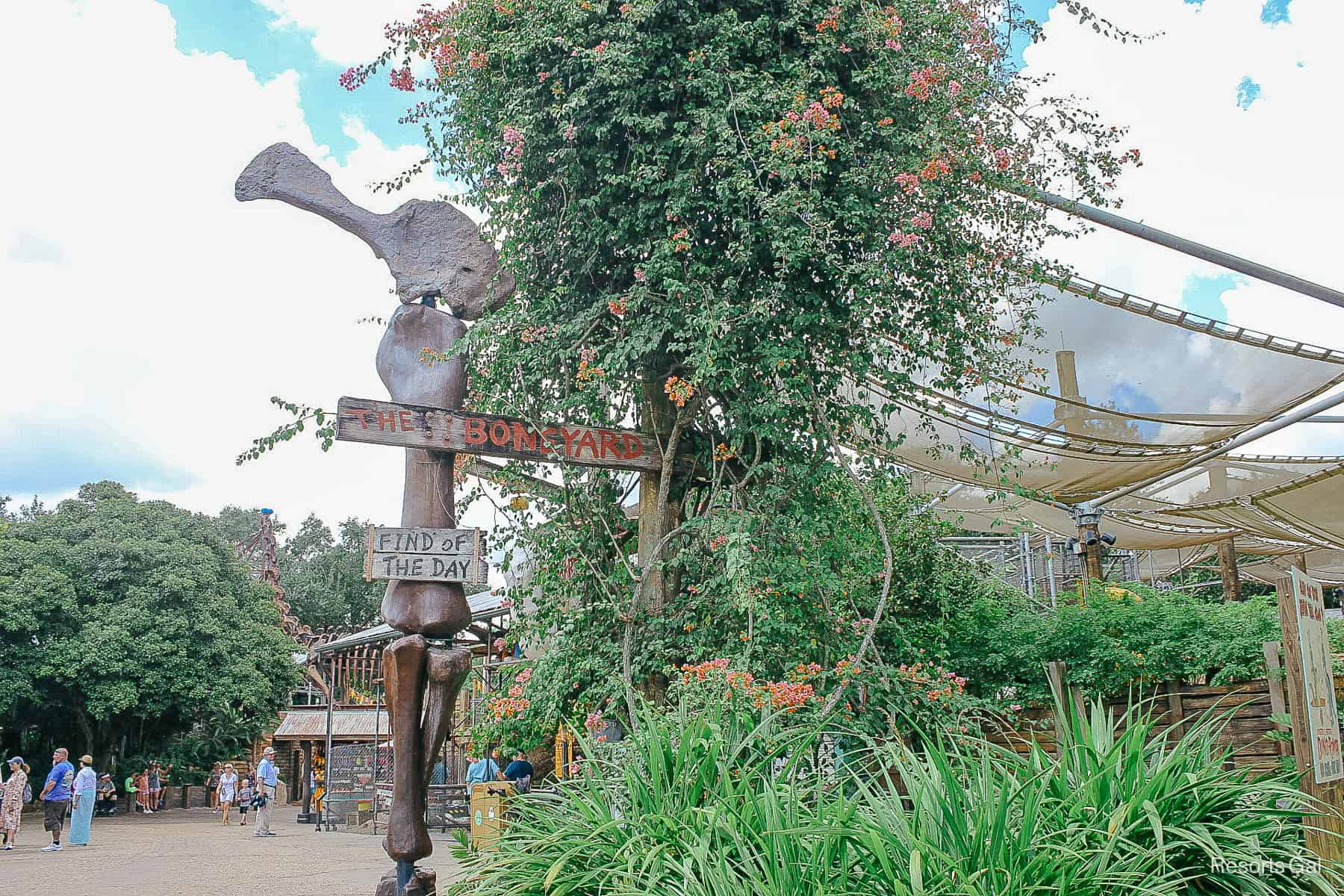 entrance to The Boneyard