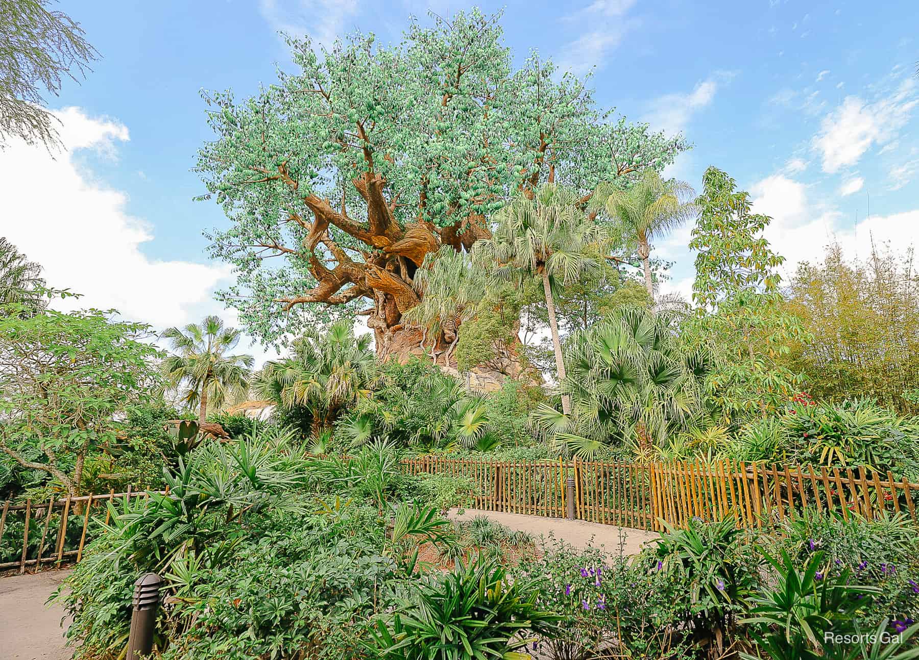a scenic view of the trails on Discovery Island with the Tree of Life in the distance 