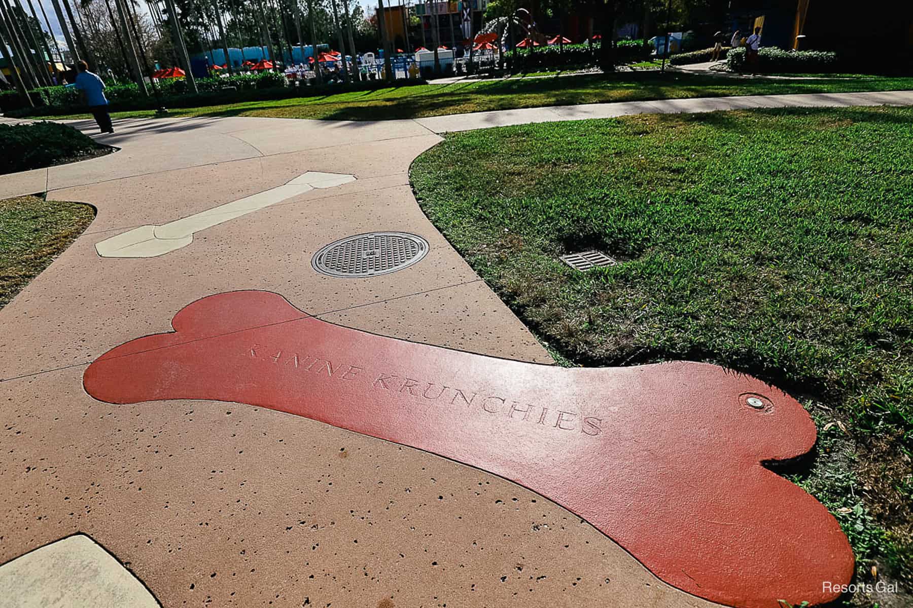 large dog bones that say Kanine Krunchies in the concrete walkway 