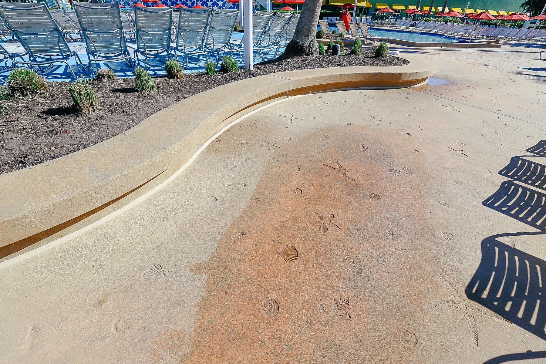 shows shells and starfish impressions around the Surf-themed pool at All-Star Sports 