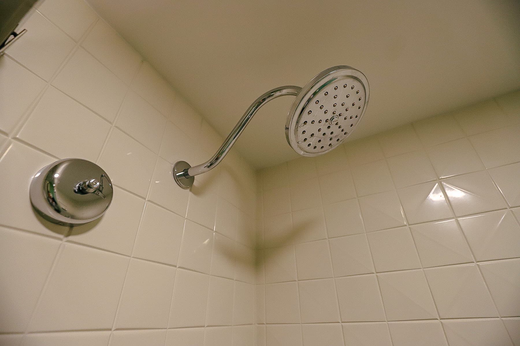 a rainfall shower head in the guest bath 