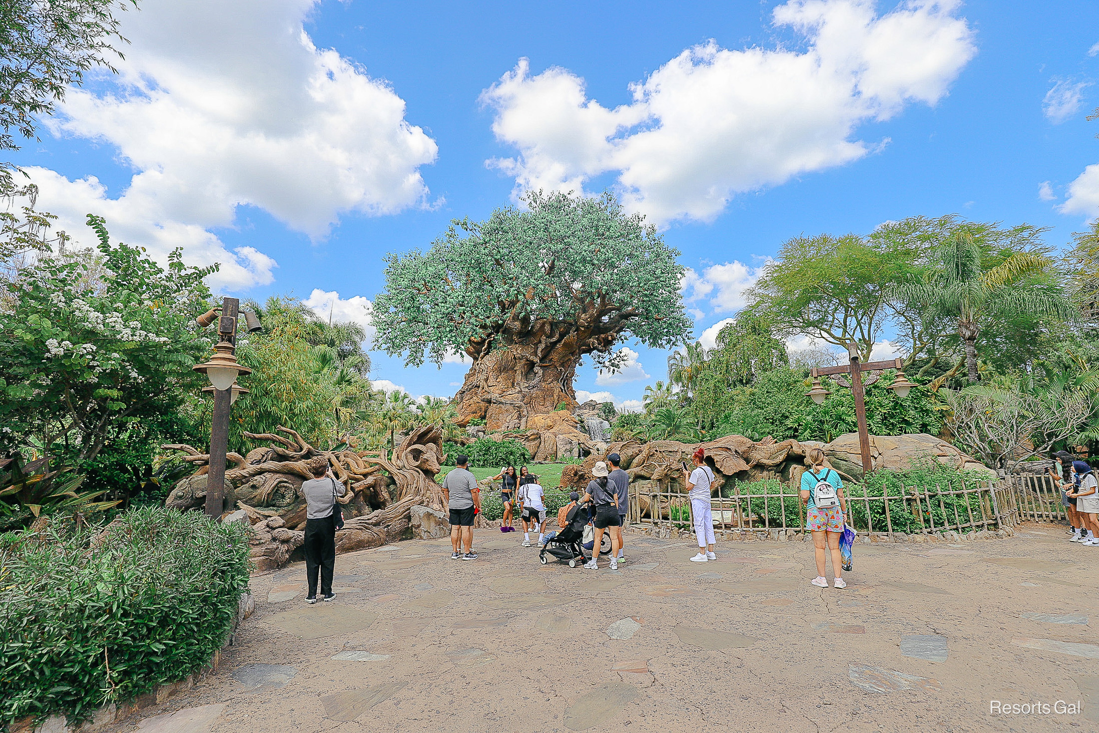 Are Extended Evening Hours Worth it at Disney’s Animal Kingdom This Summer?