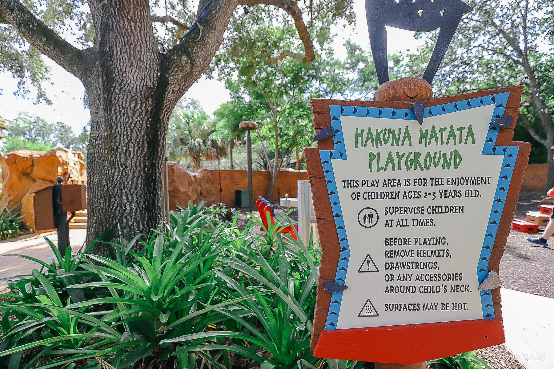 the Hakuna Matata playground by the pool 