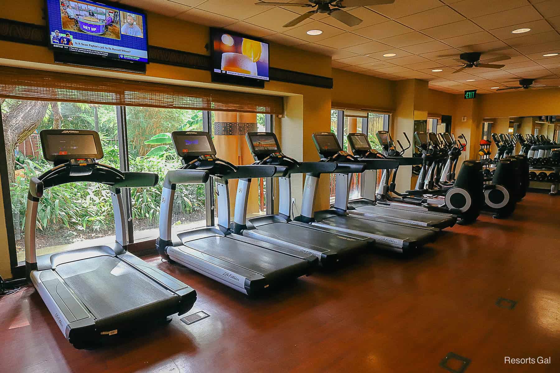 gym equipment inside the fitness center 