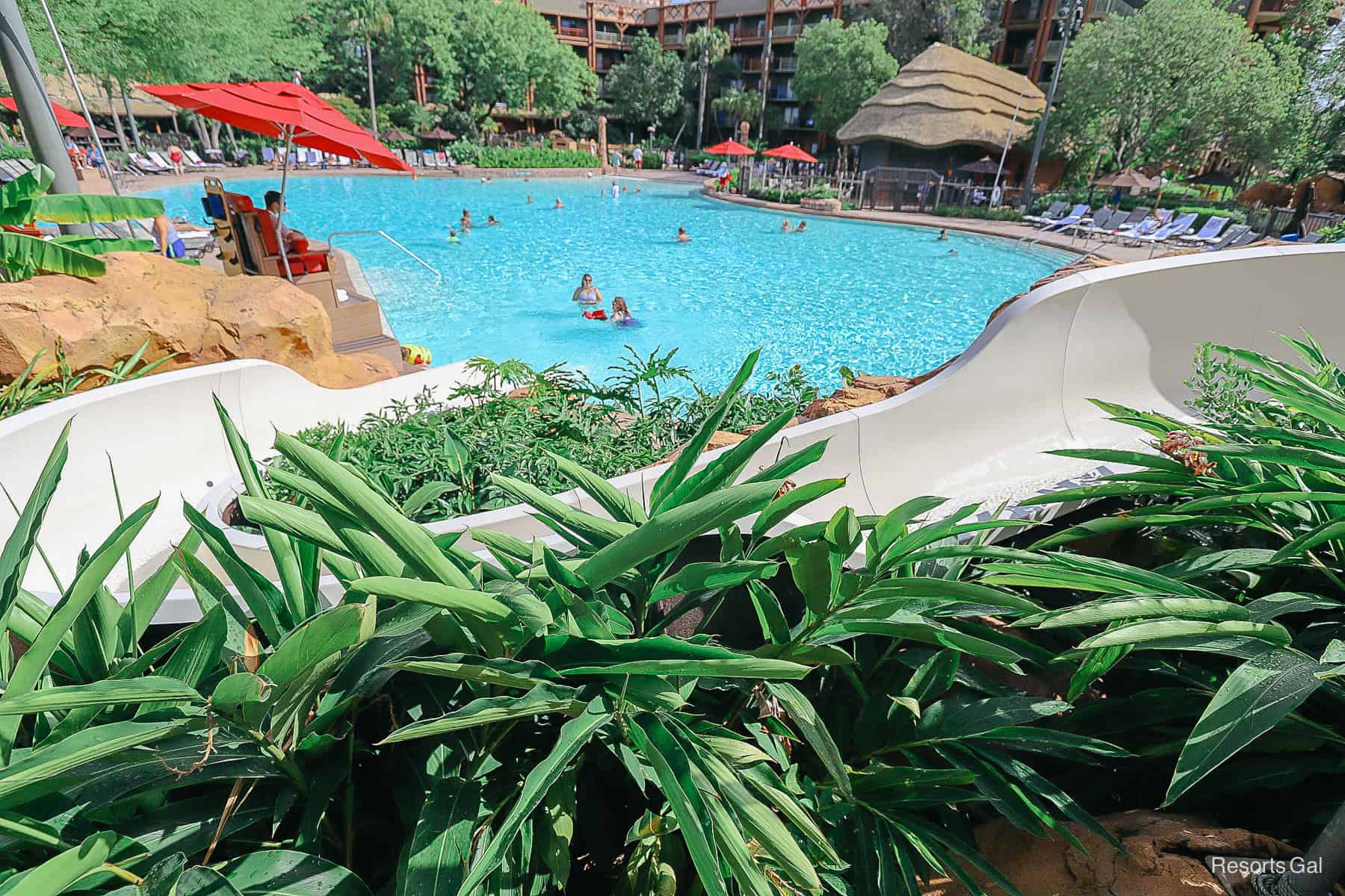 a view of the pool from the water slide 