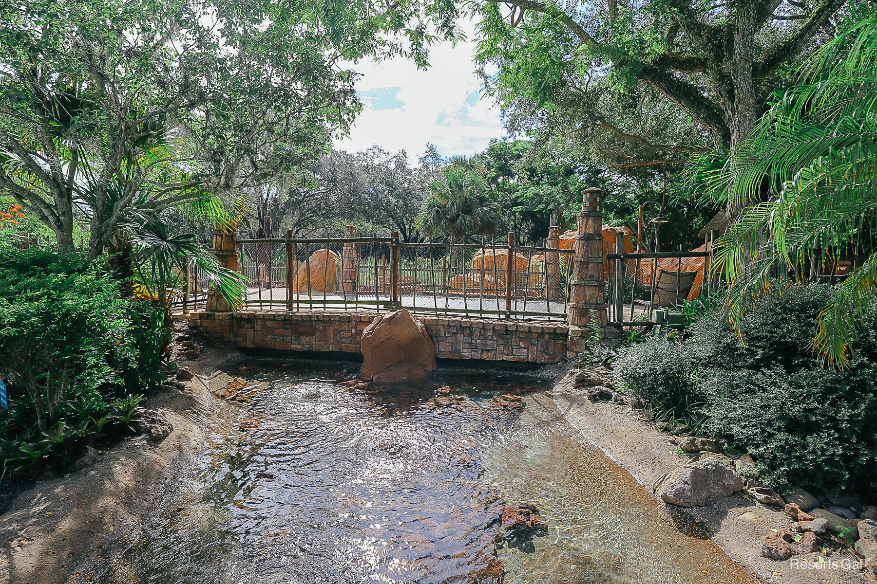 the spring flowing from the pool to the savanna 