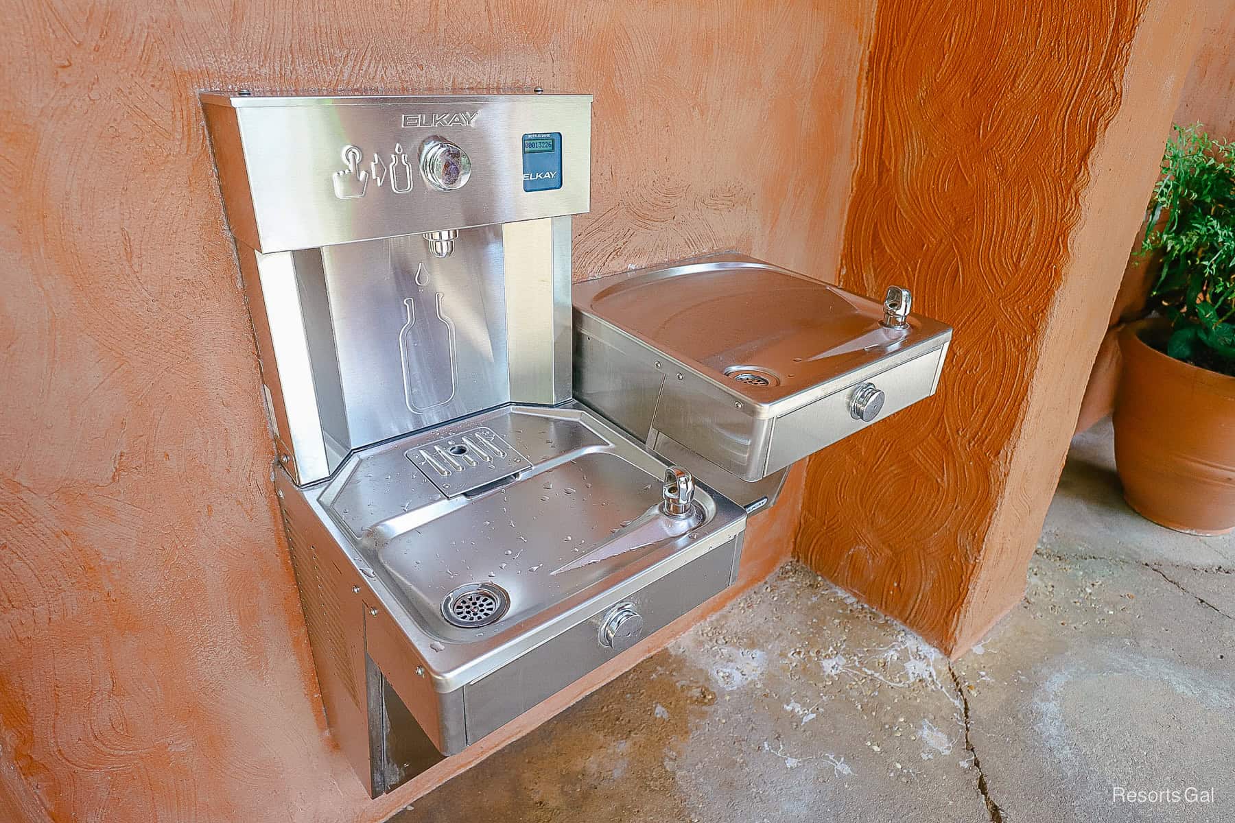 water fountain and water bottle filler 