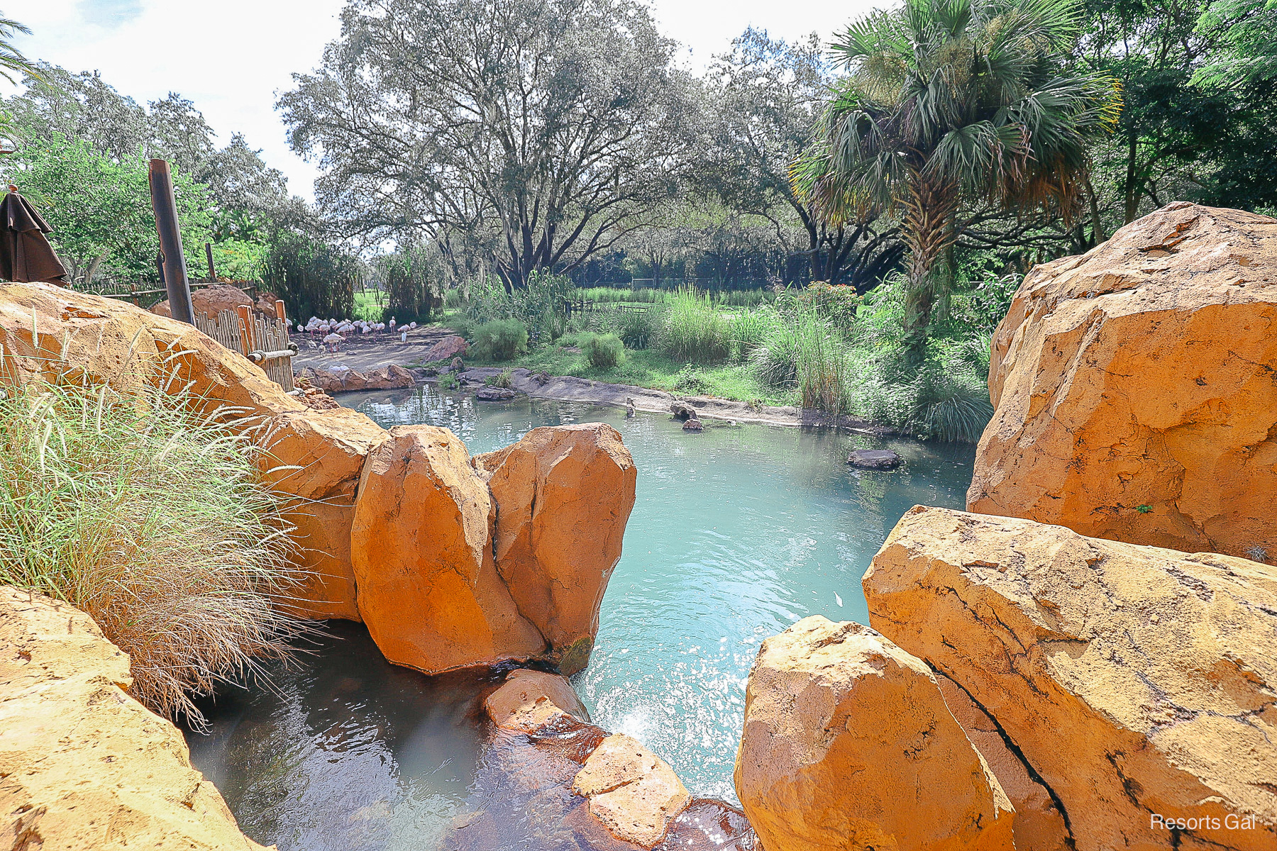 a few rocks surrounding a viewing area of the Uzima Springs with flamingos in the background 