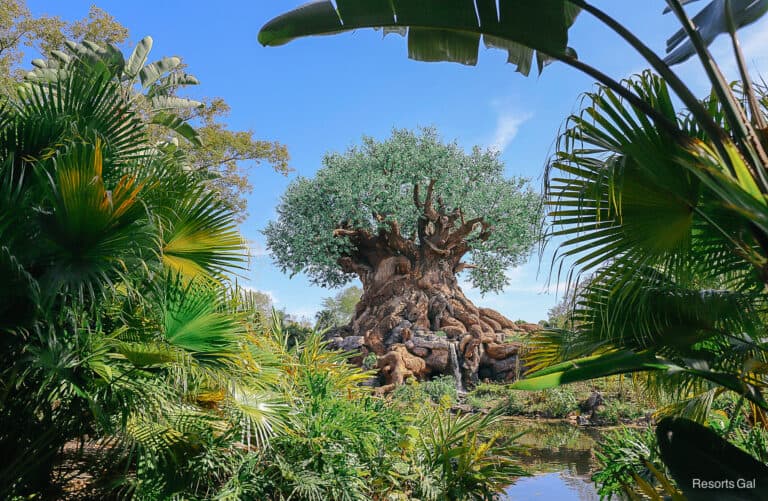 Disney's Animal Kingdom Park Guide