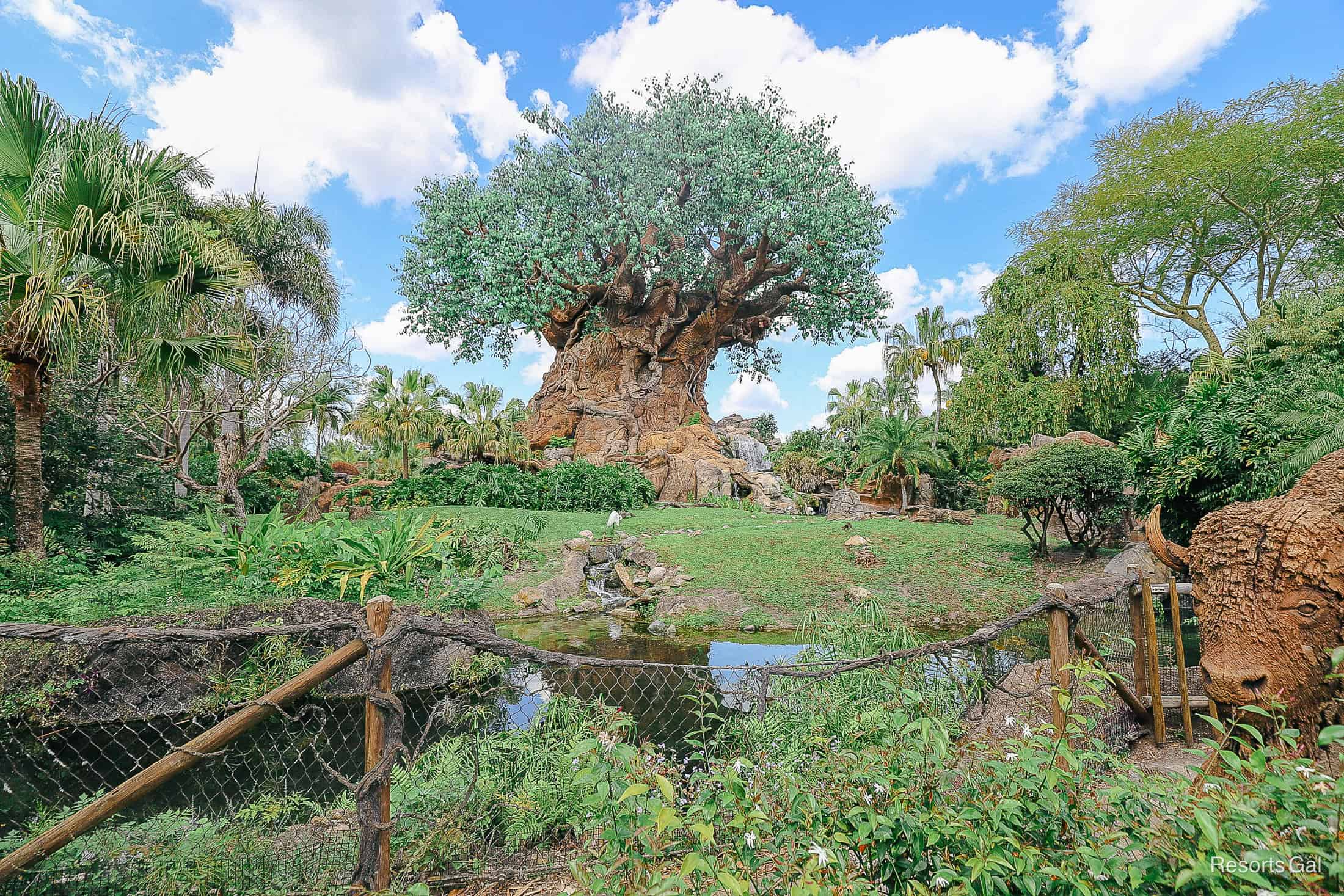 stork with the Tree of Life at Disney's Animal Kingdom
