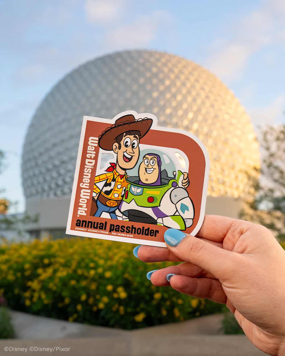 Buzz and Woody AP magnet