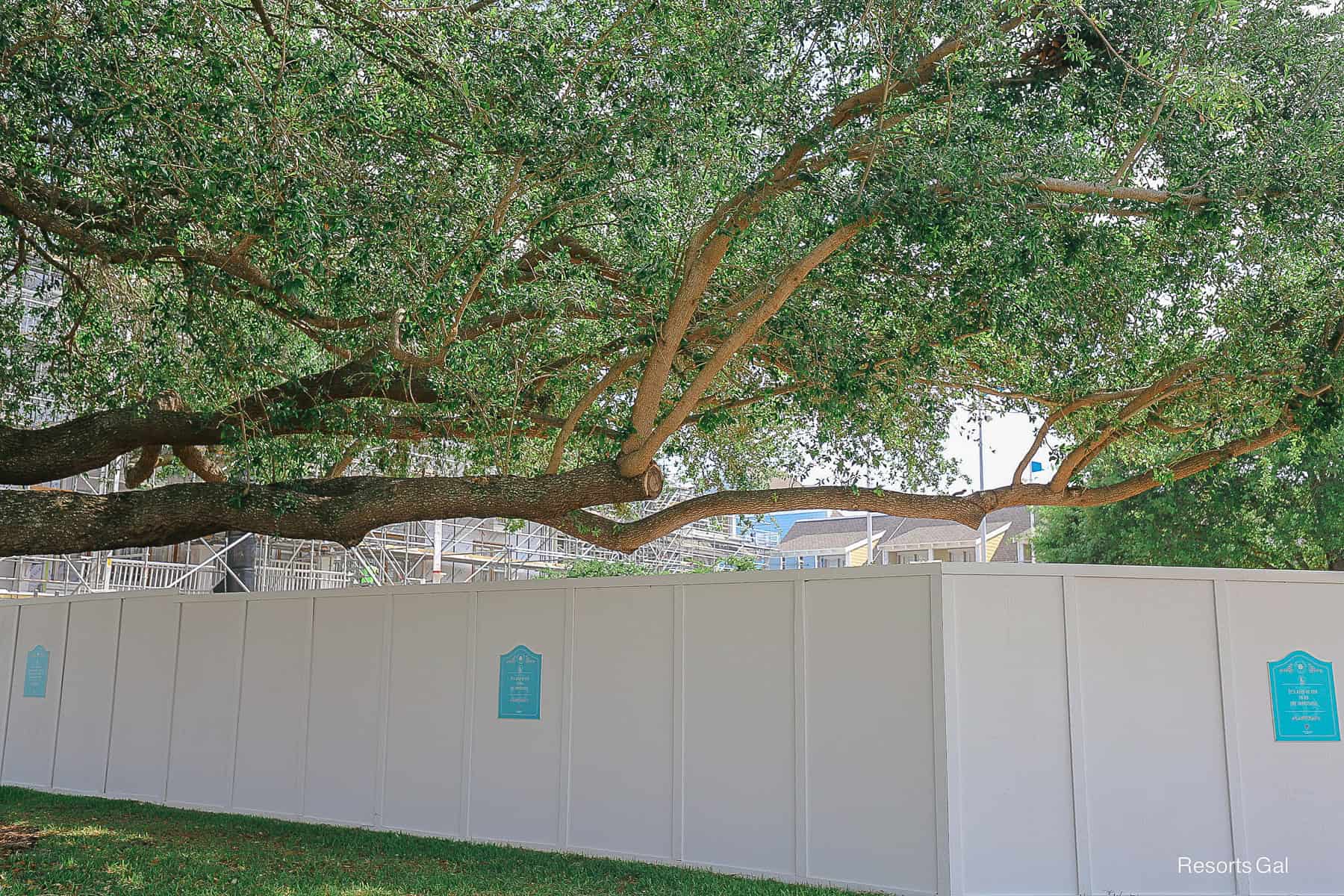 a long fence around the Beach Club
