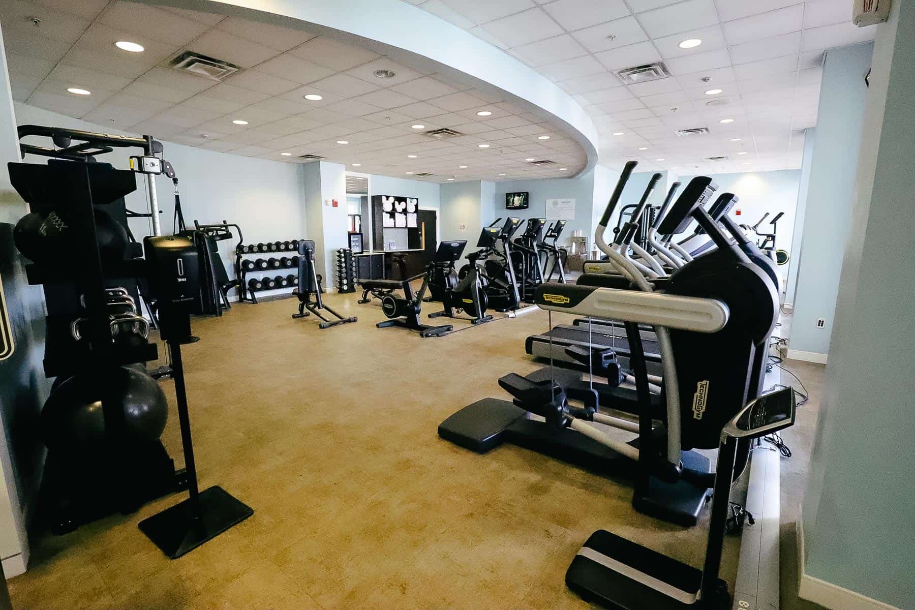 swan yacht club gym