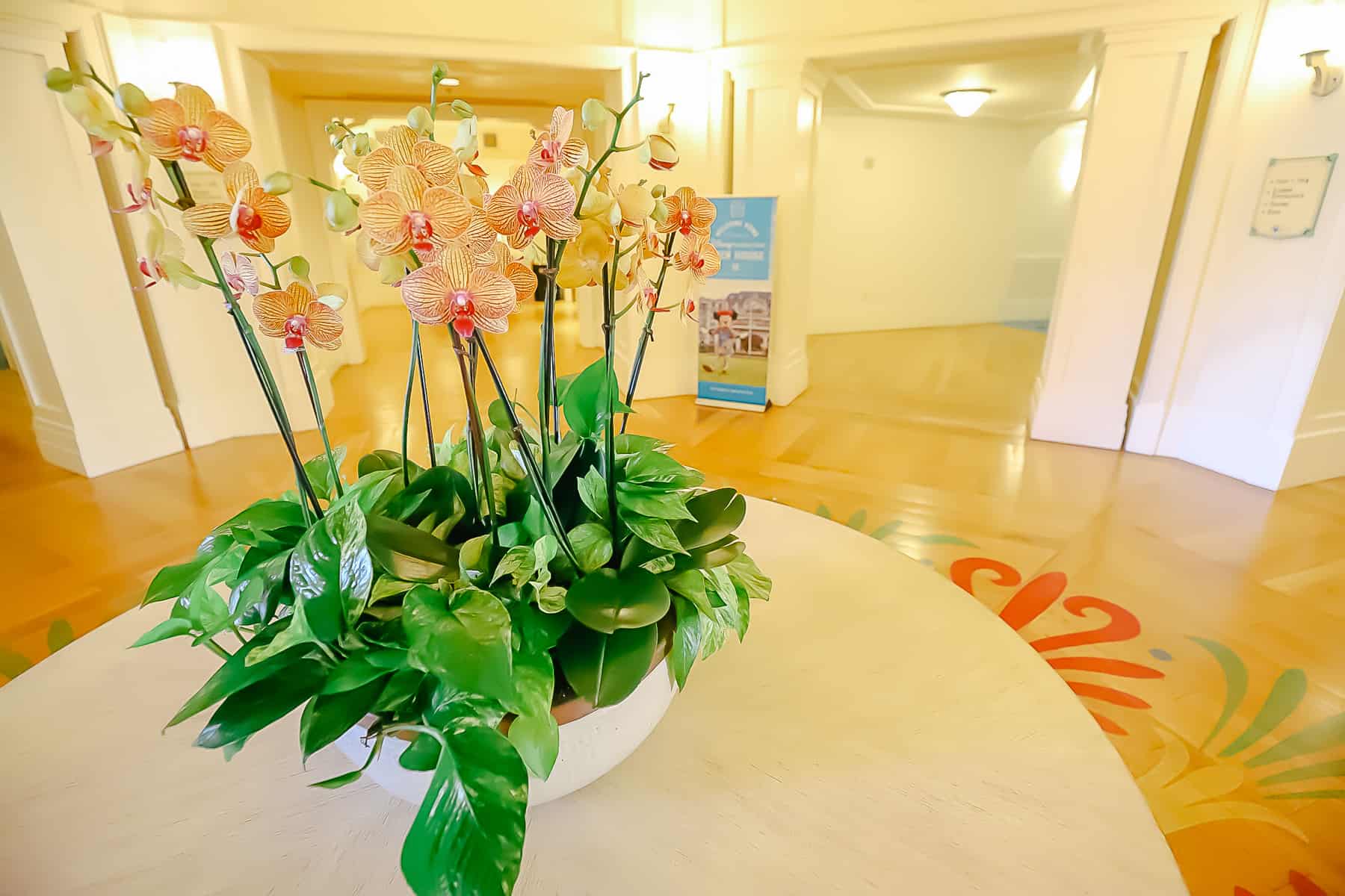 a display of orchids in the Beach Club Villas 