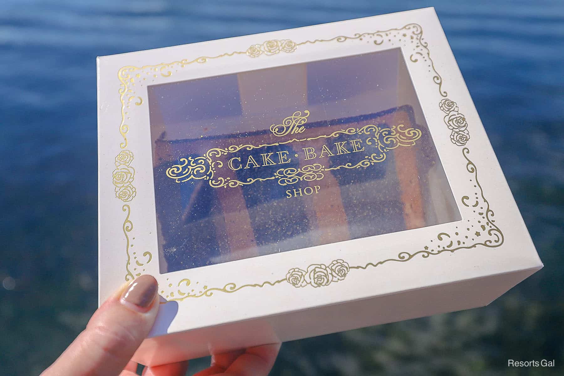 a hand holding a slice of chocolate cake from The Cake Bake Shop at Disney's Boardwalk
