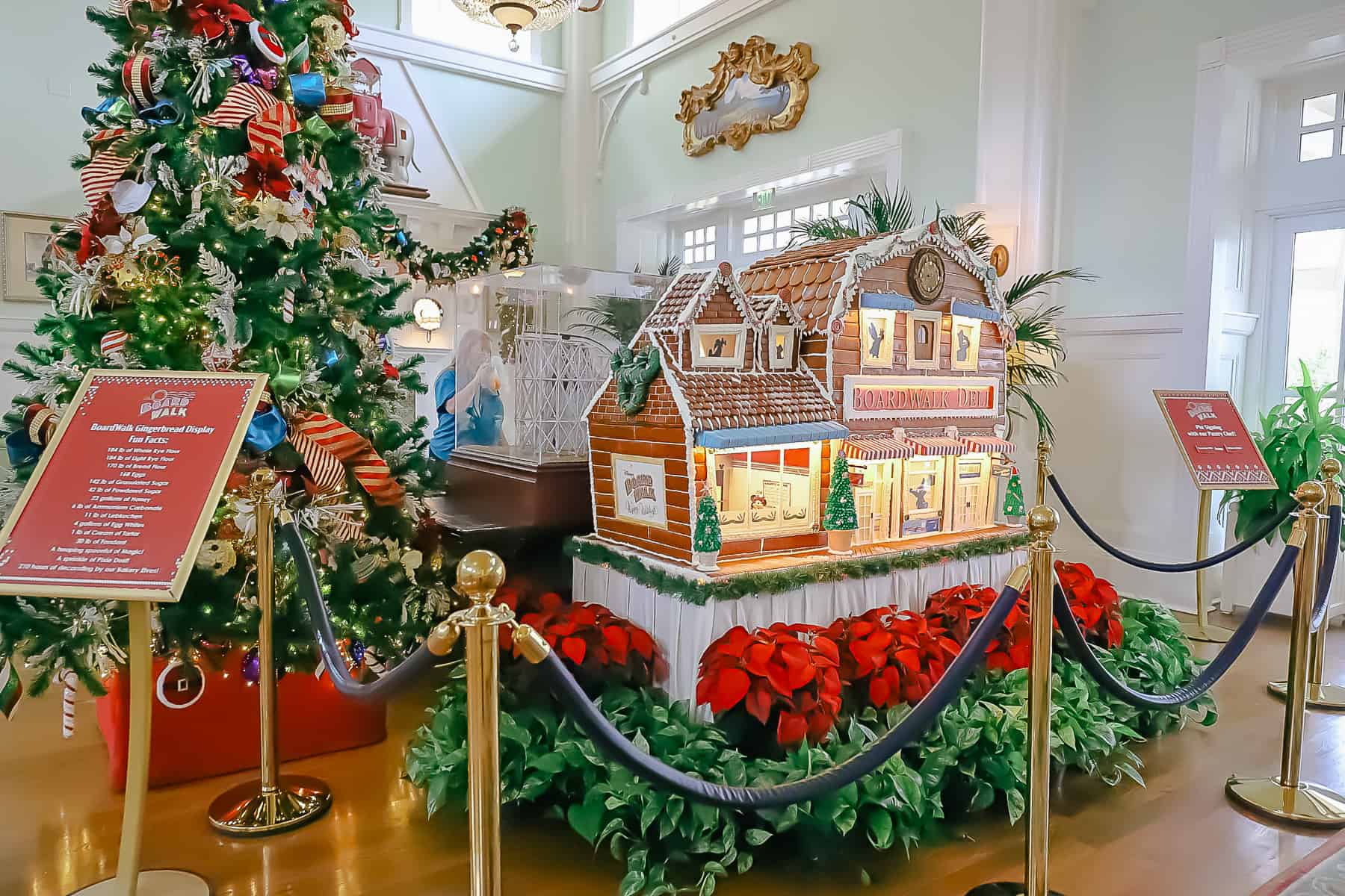shows the gingerbread display with the Boardwalk's Christmas tree and poinsettias 