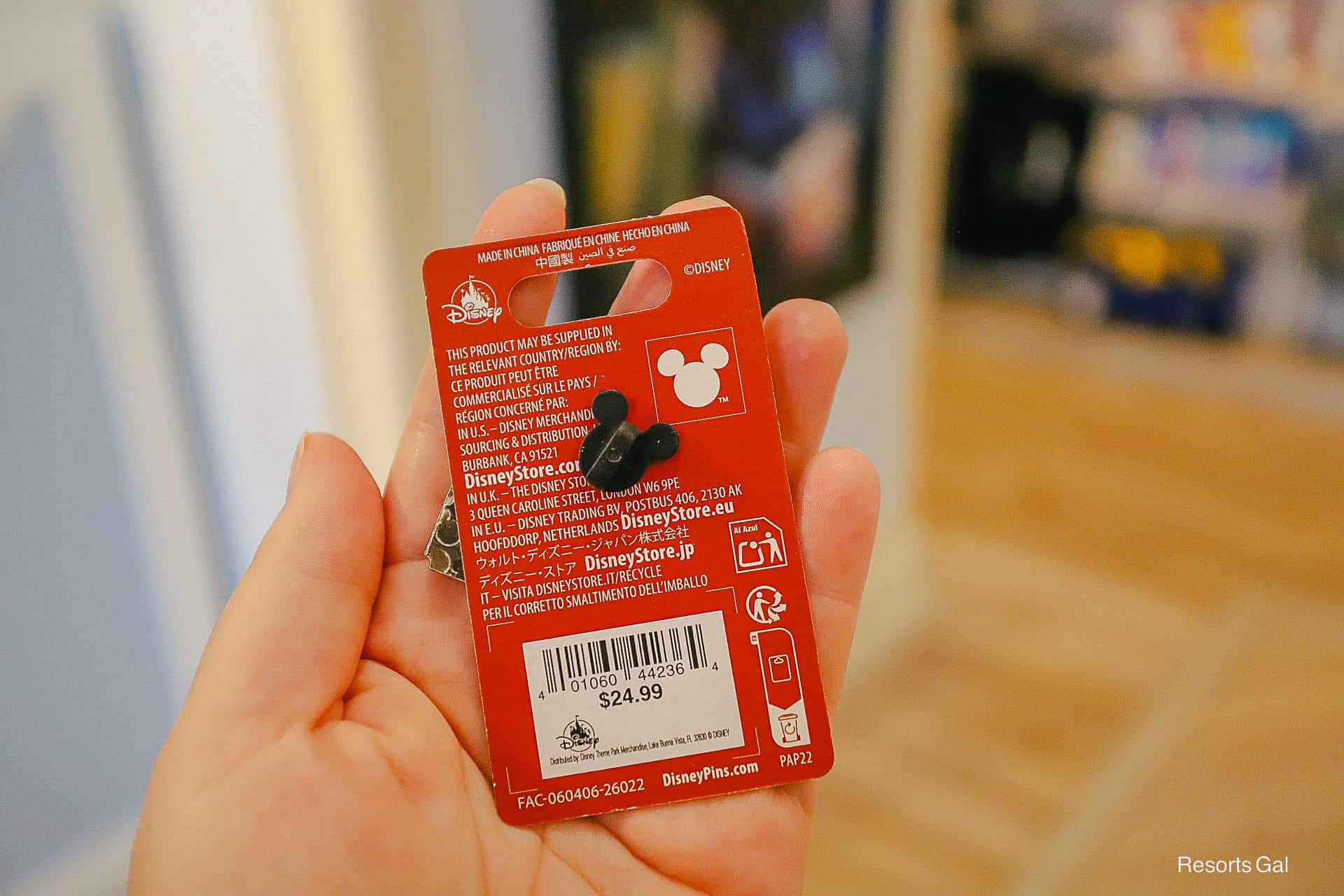 the back of the pin shares details and a price 