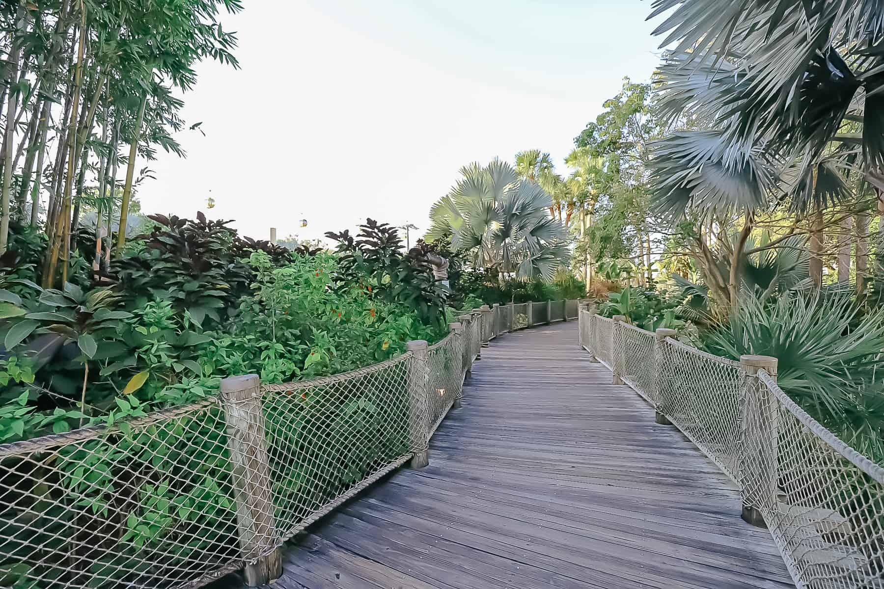 boardwalk along the island at Caribbean Beach 