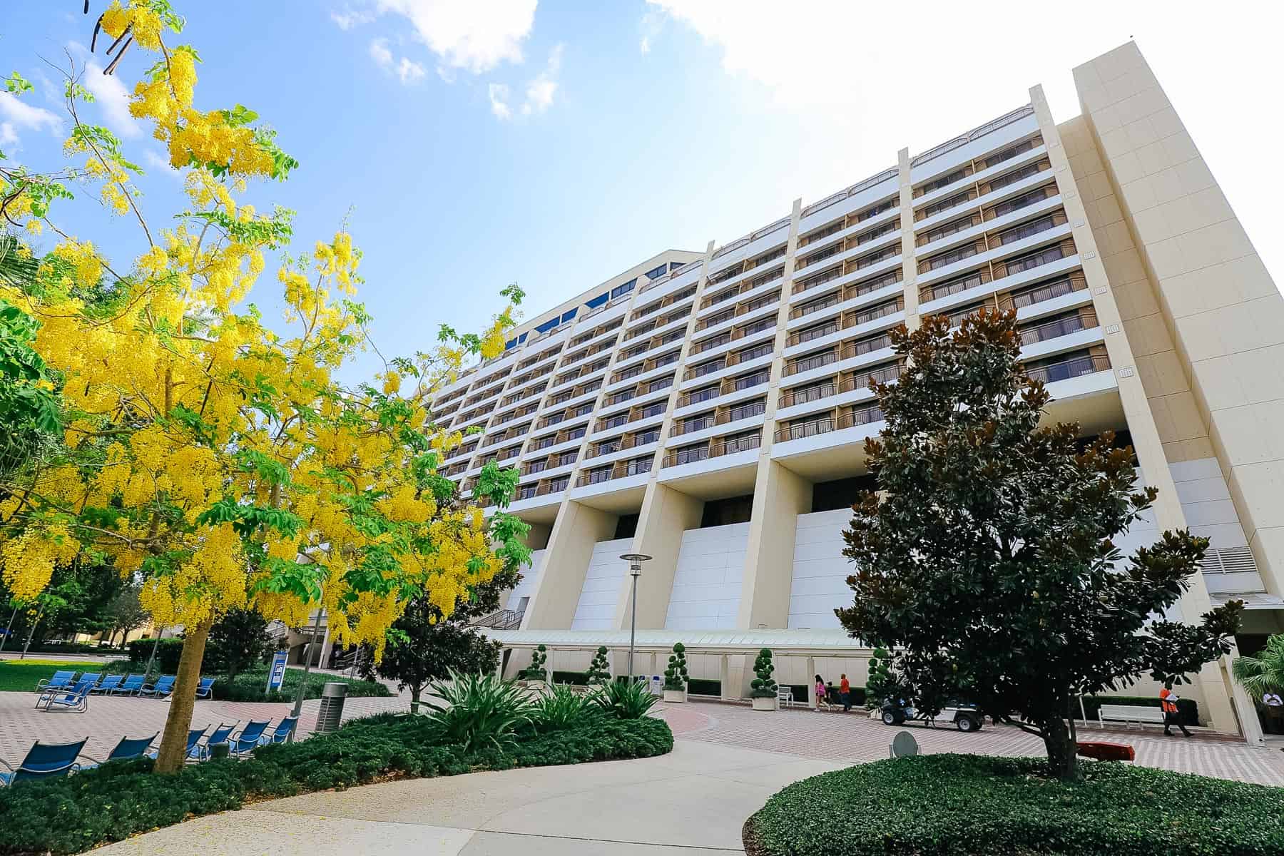 Disney's Contemporary Resort with yellow flowering trees in bloom. 