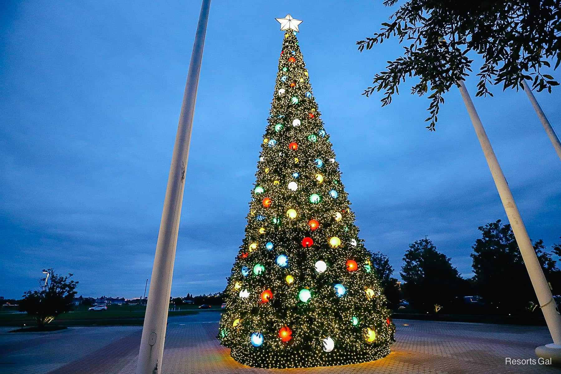 the Christmas tree in front of Disney's Contemporary 