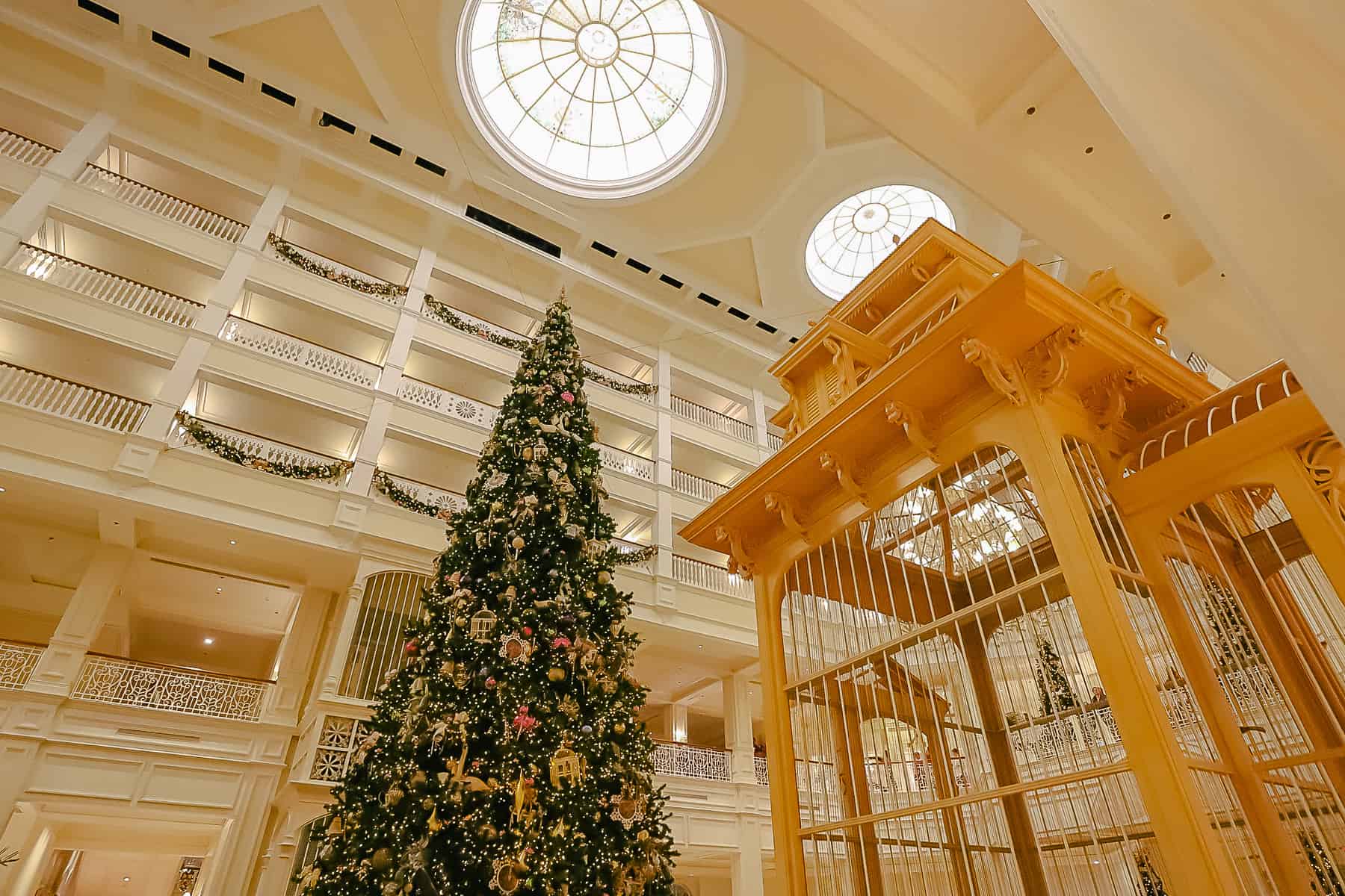 Shows the tall tree and the decorative ceiling above it. 